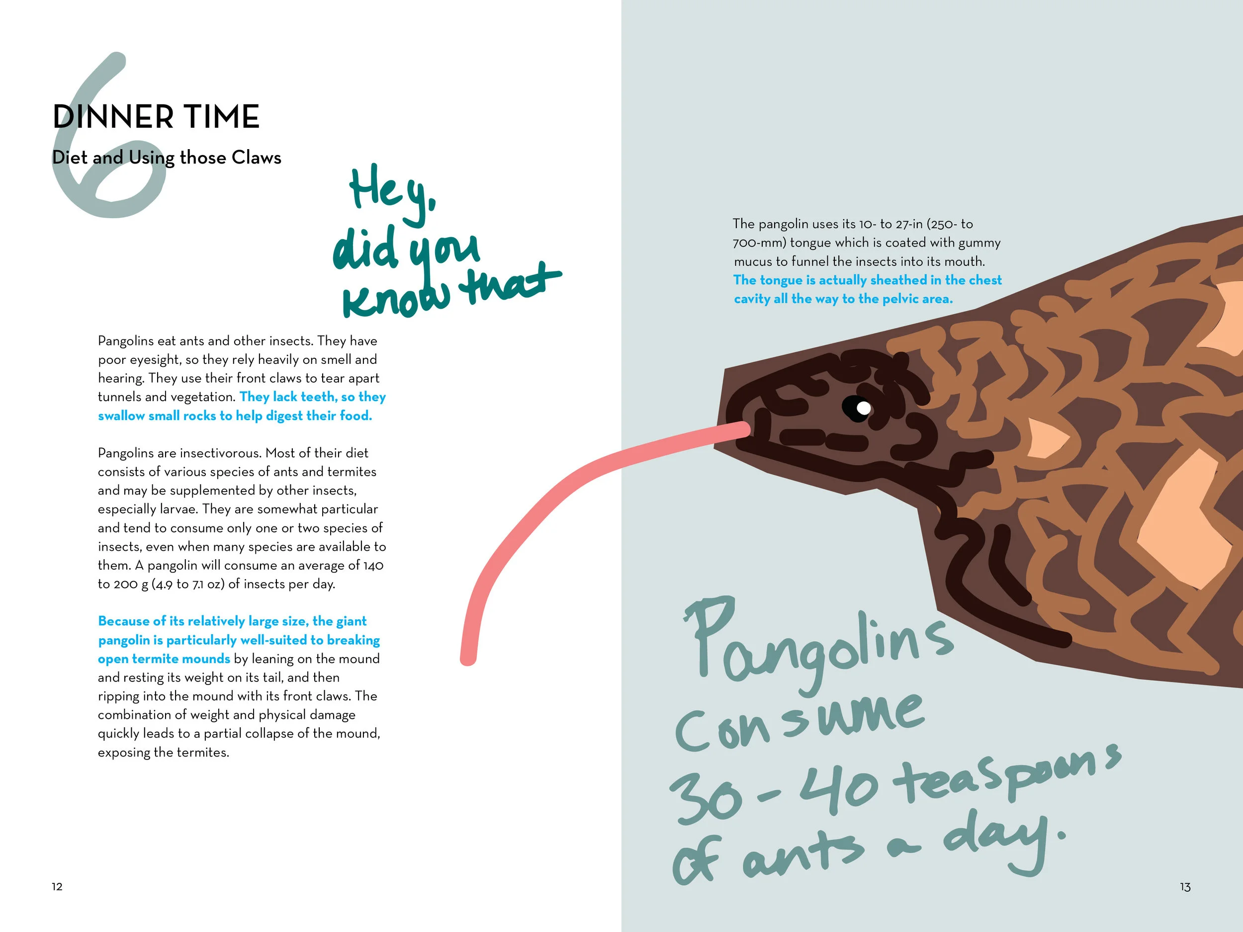 pangolin booklet_final_FINAL_PAGES_v27.jpg