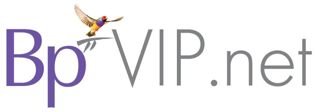 2022 Bp VIP.net_Logo_Large - RGB.jpg