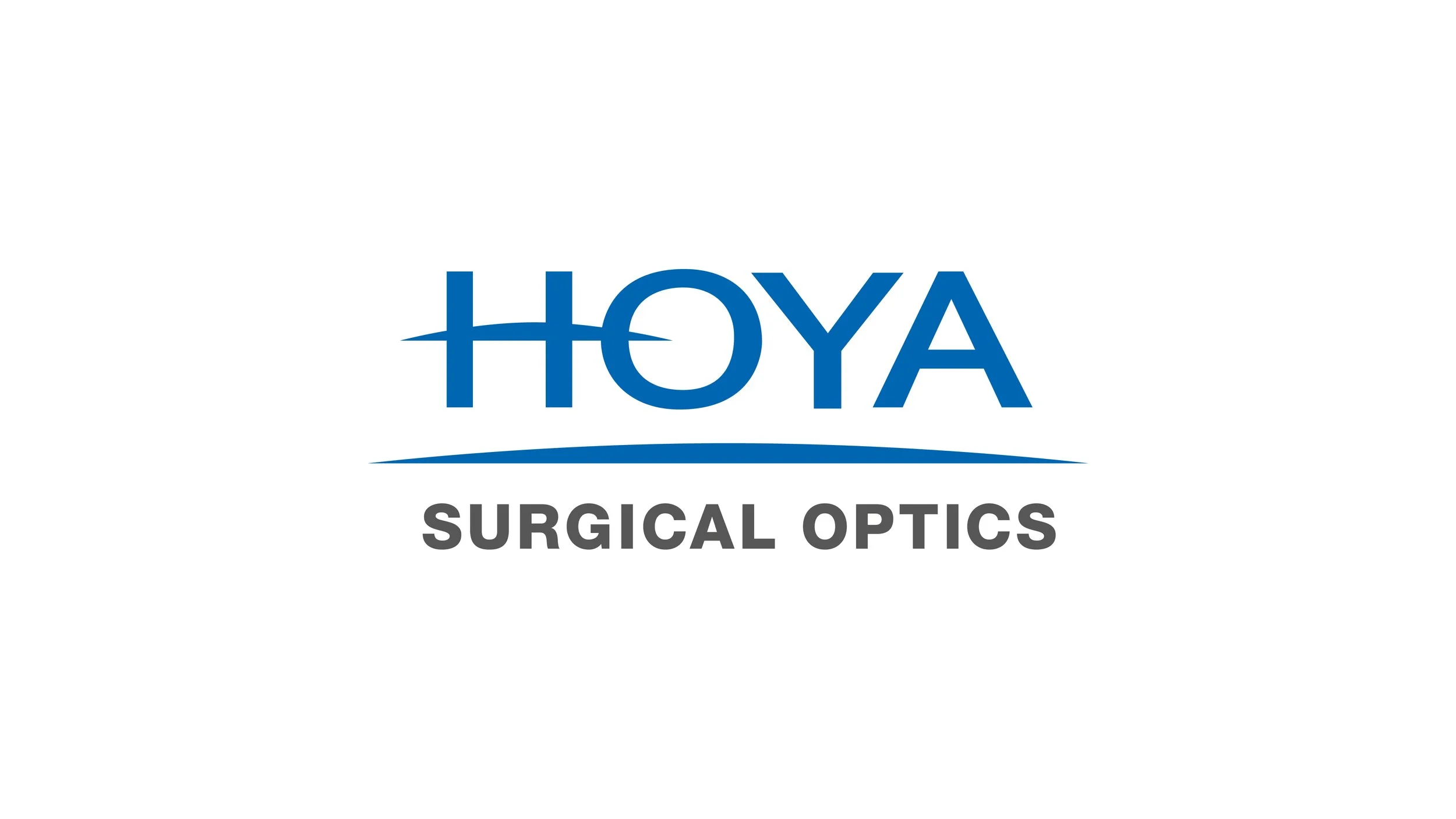 HSO Logo_16x9 frame 1.jpg.jpeg