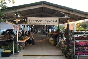 Ann Arbor Farmer's Market