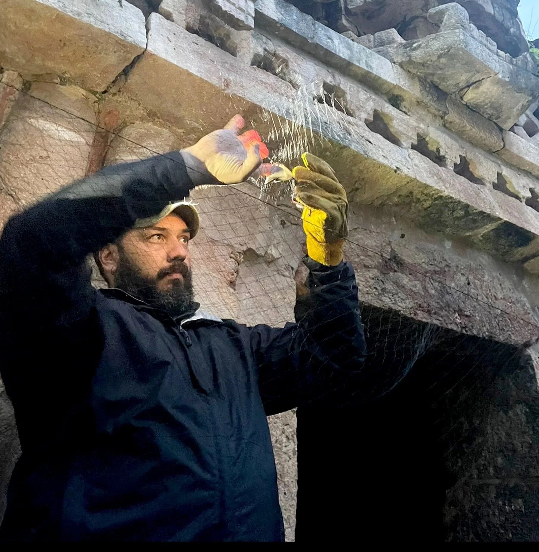 Carlos N. Ibarra-Cerdeña