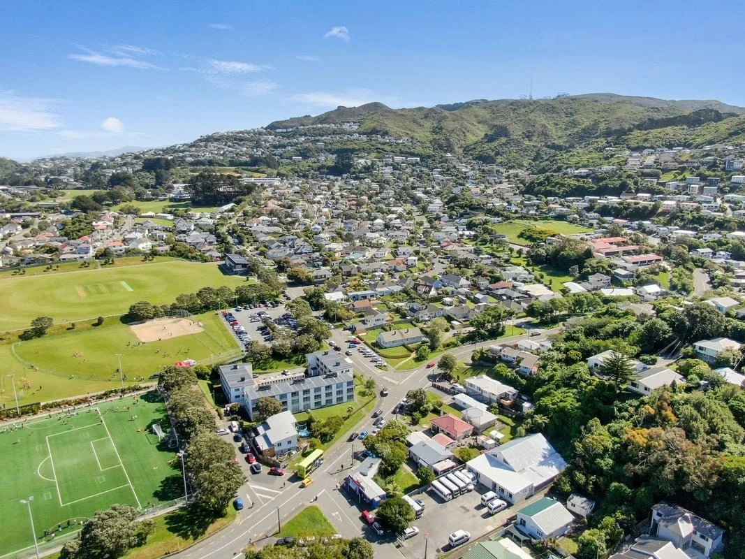 Johnsonville &amp; Suburbs Initial Info session