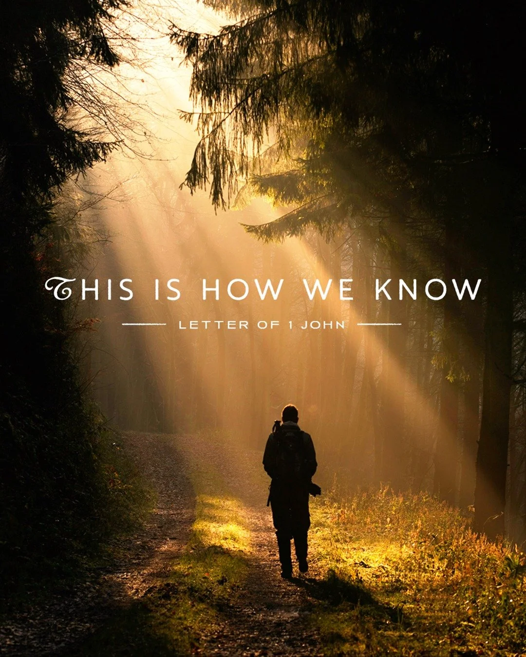 We hope you've been enjoying our sermon series looking at the Letter of 1 John. On Sunday Jamie challenged us with the question "Who are you becoming?" and we heard how pivotal it is for us to remain in COMMUNITY, to remain in THE WORD, and