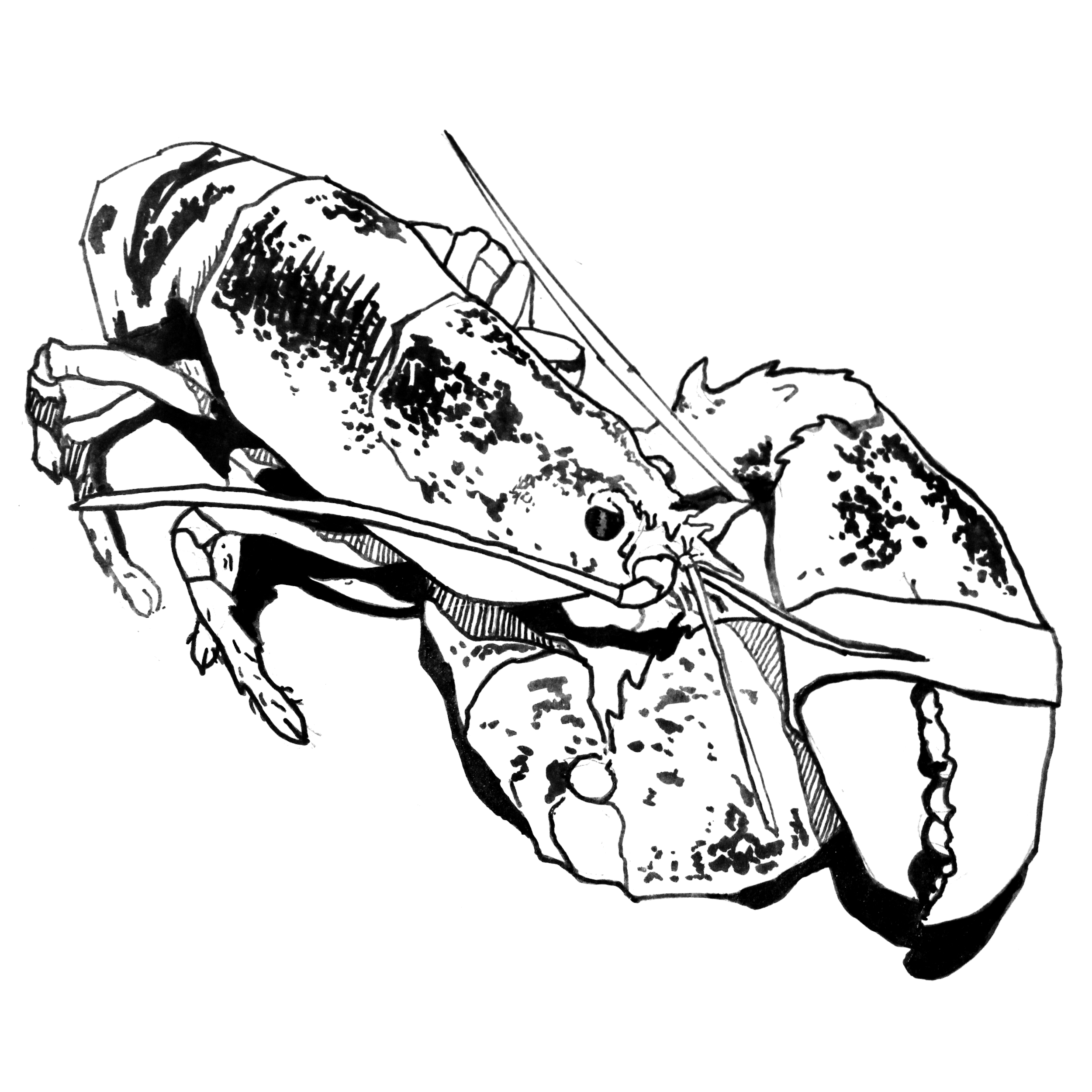 Illustration by Sam Rheaume; Read More in Planet Scumm Issue #4