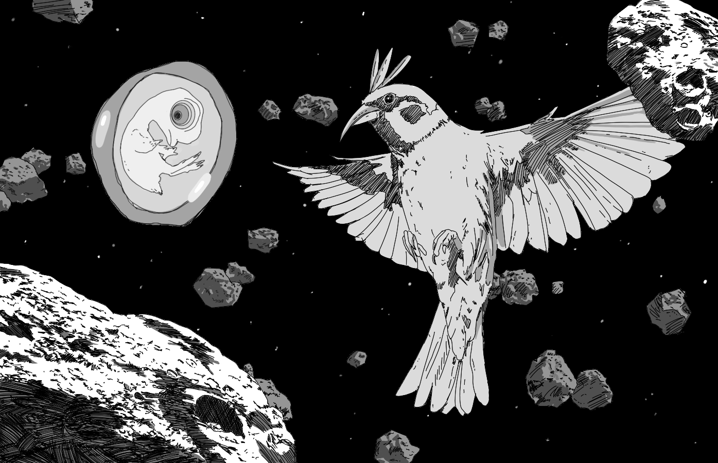 Sierra_Starfall_Header.png