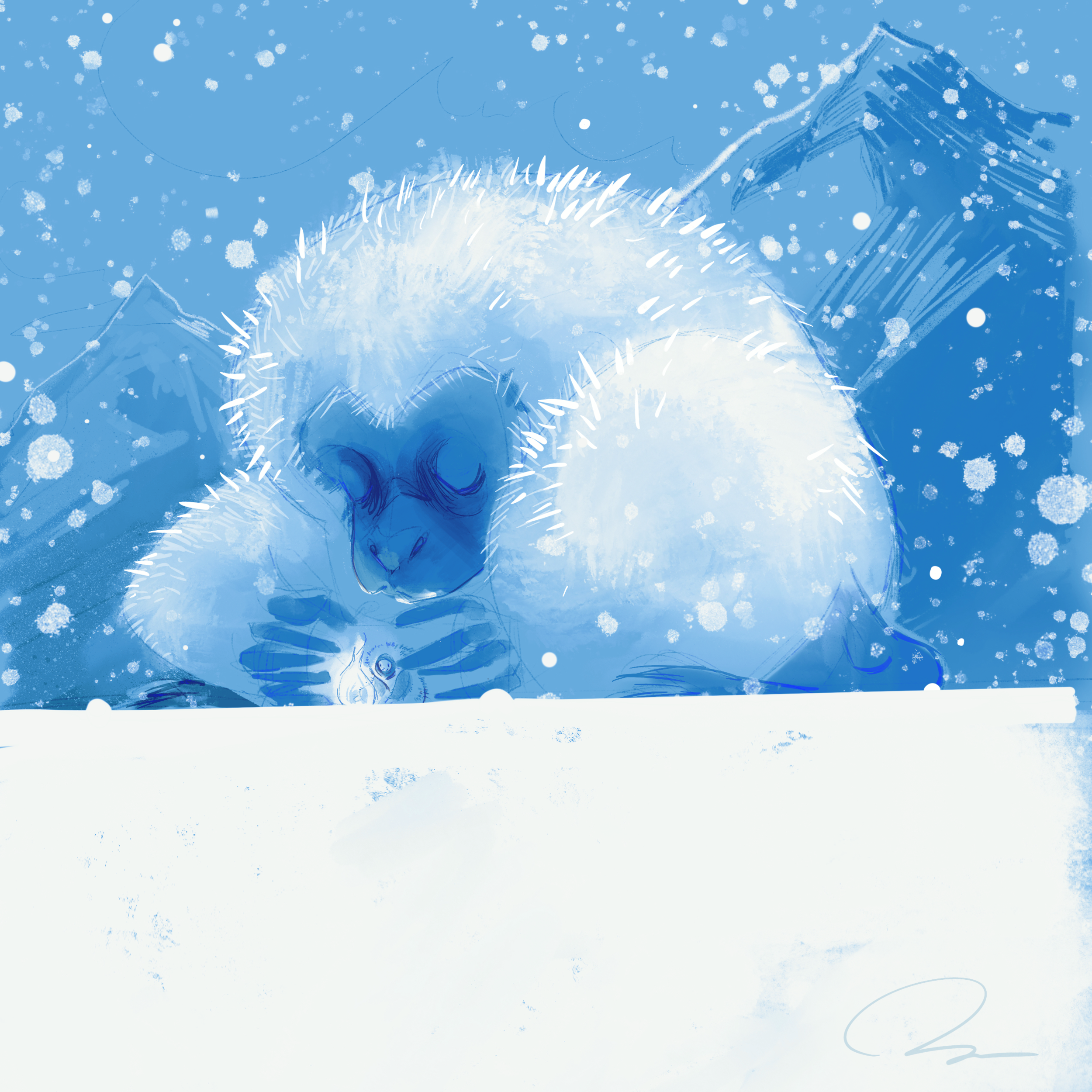 Market | Pre-Order PS13