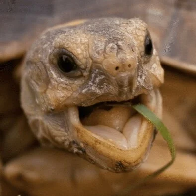 123357C1-EA67-4347-8F64-7D5C64901ACC