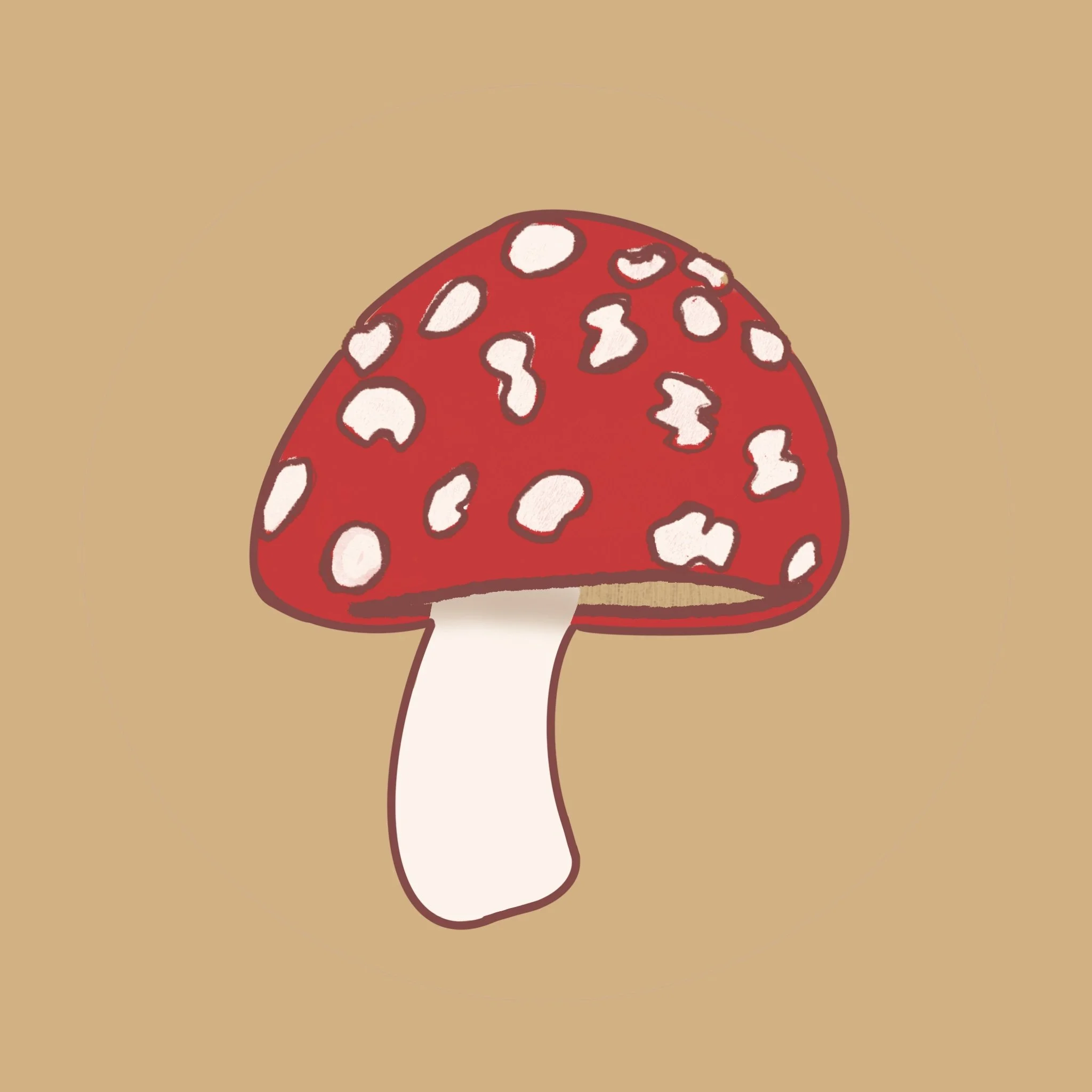  Digital Illustration / Procreate 