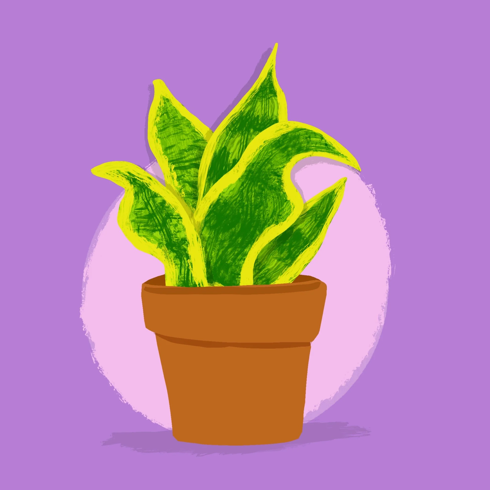  Digital Illustration / Procreate 