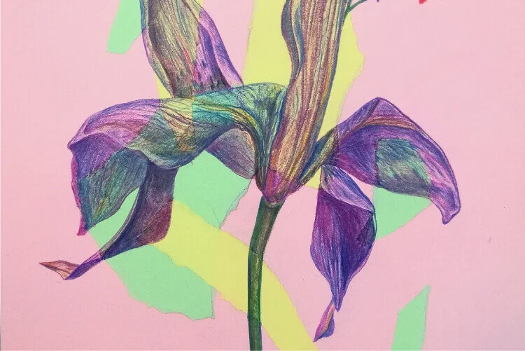 Part I. How Vulnerable Should You be on Social Media?