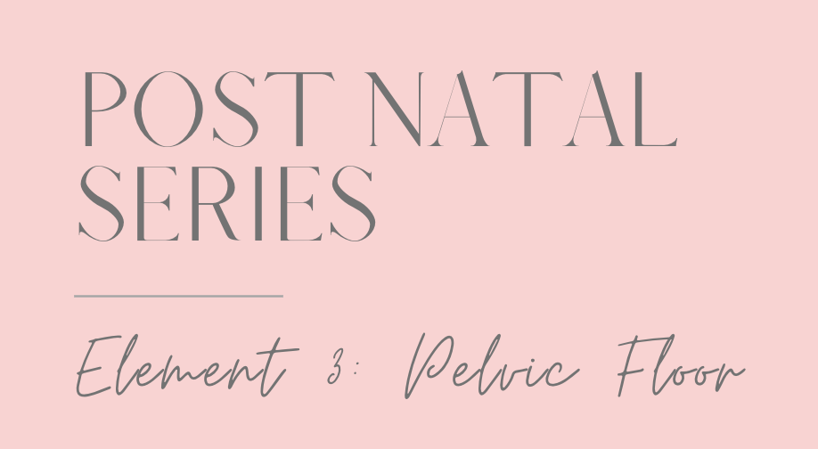 Post Natal Series / Video 4