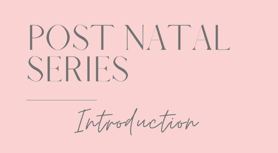 Post Natal Series / Introduction Video