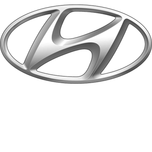 Hyundai 300 greyscale white text.png