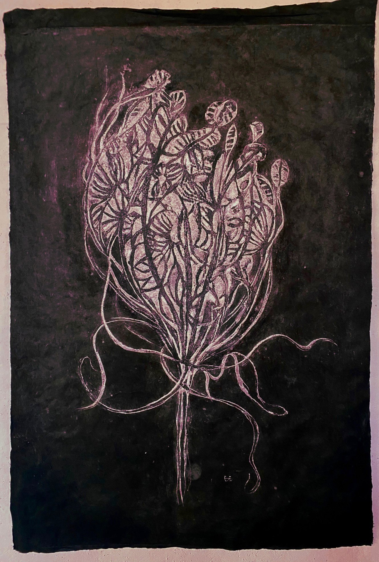 Wild Carrot 13.jpg