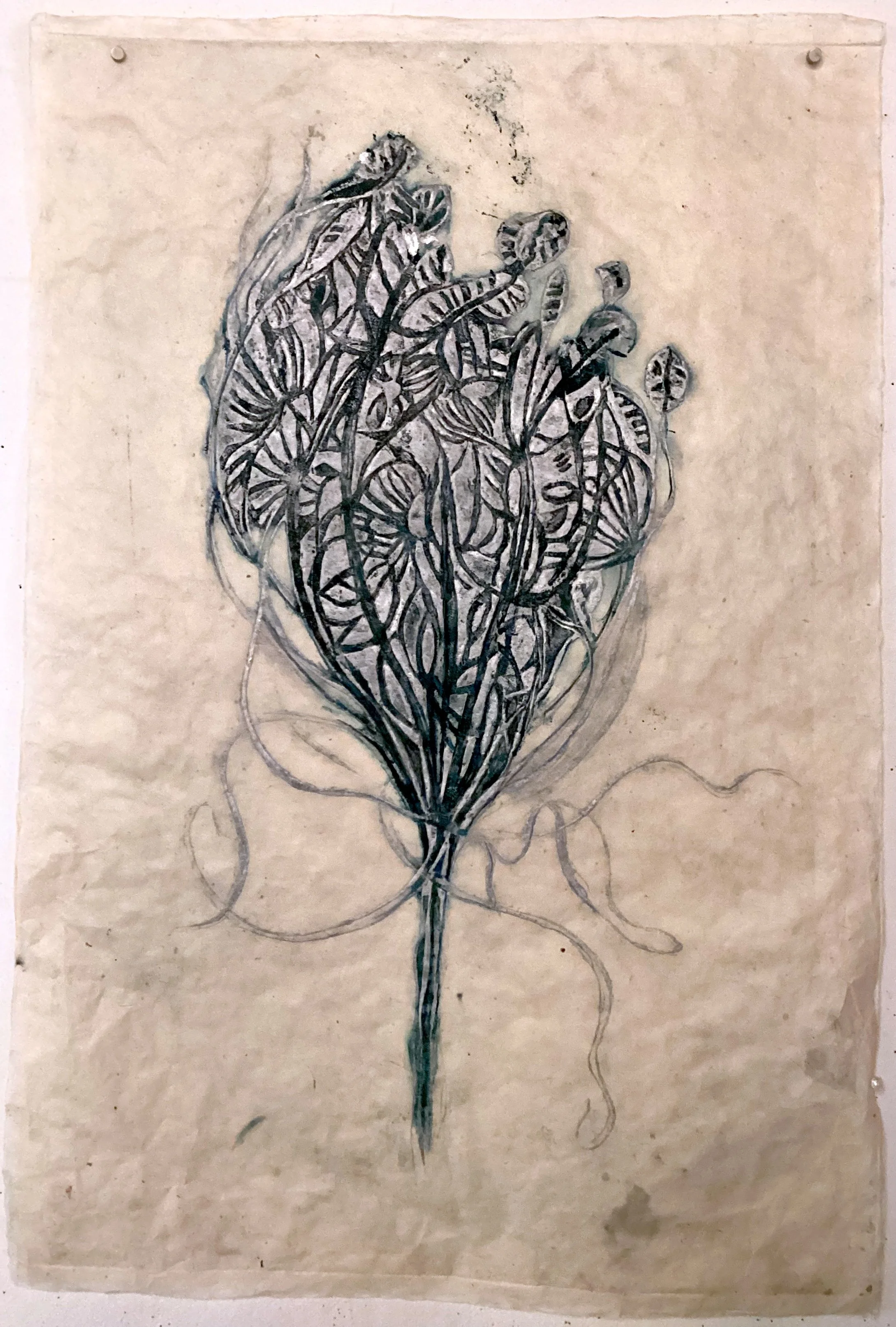 Wiold Carrot 8.jpg