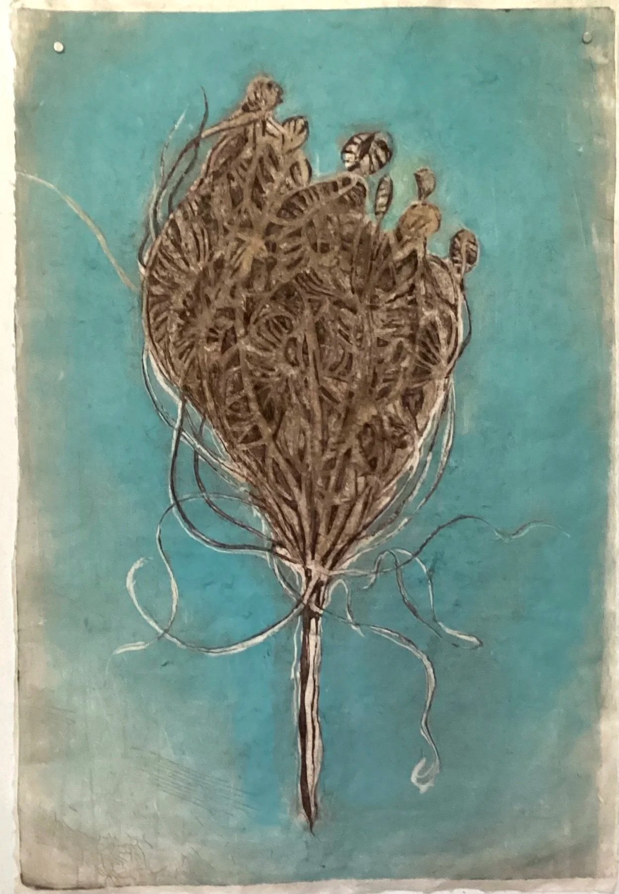 Wild Carrot 1
