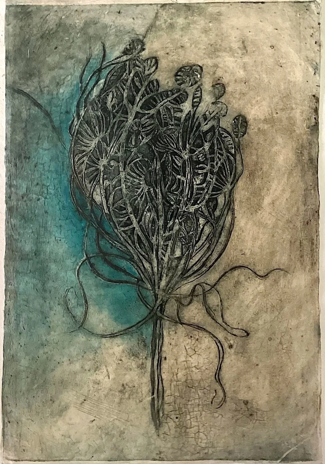 Wild Carrot 3