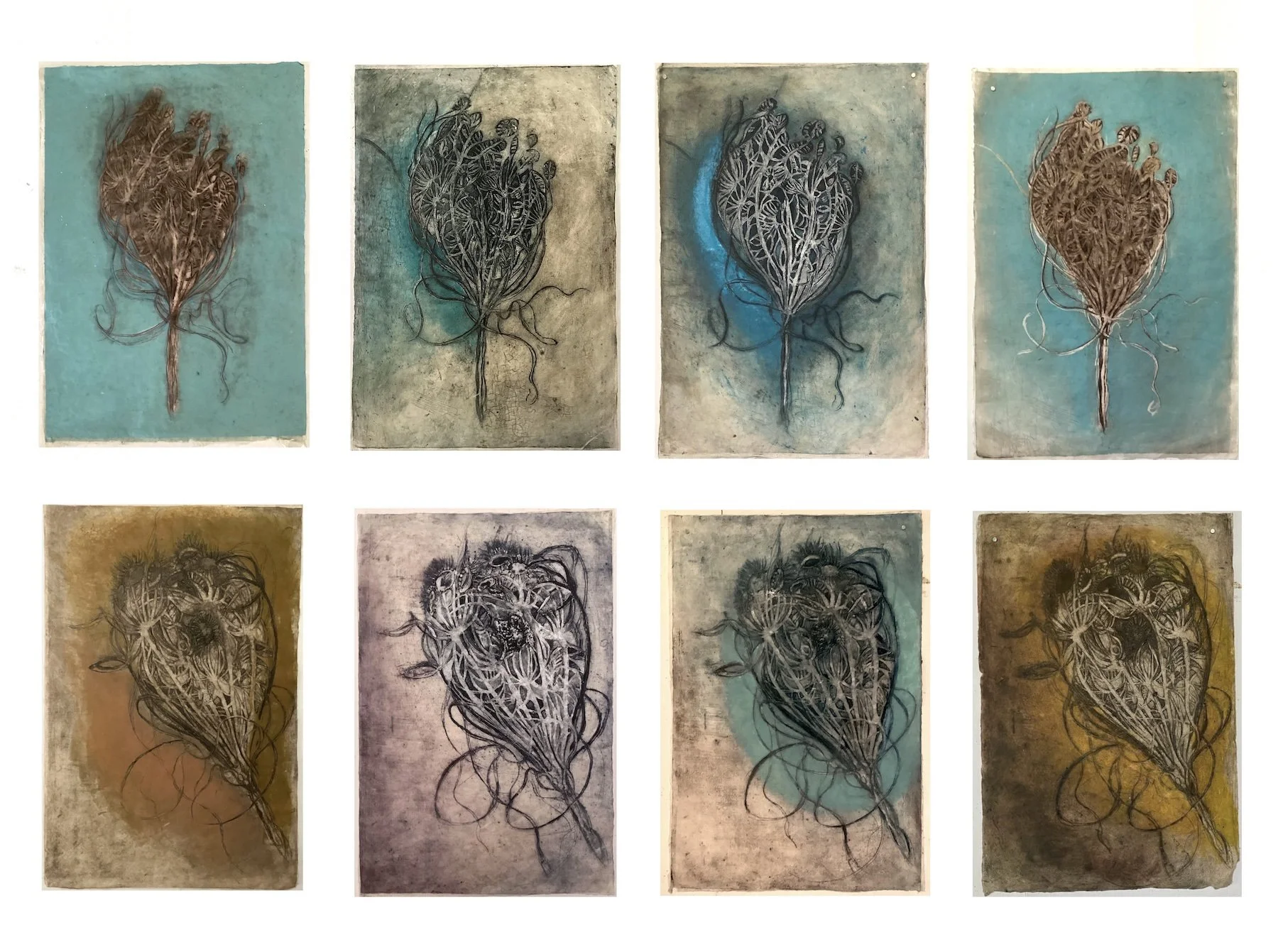  Wall Installation of Wild Carrot Transformation Series 