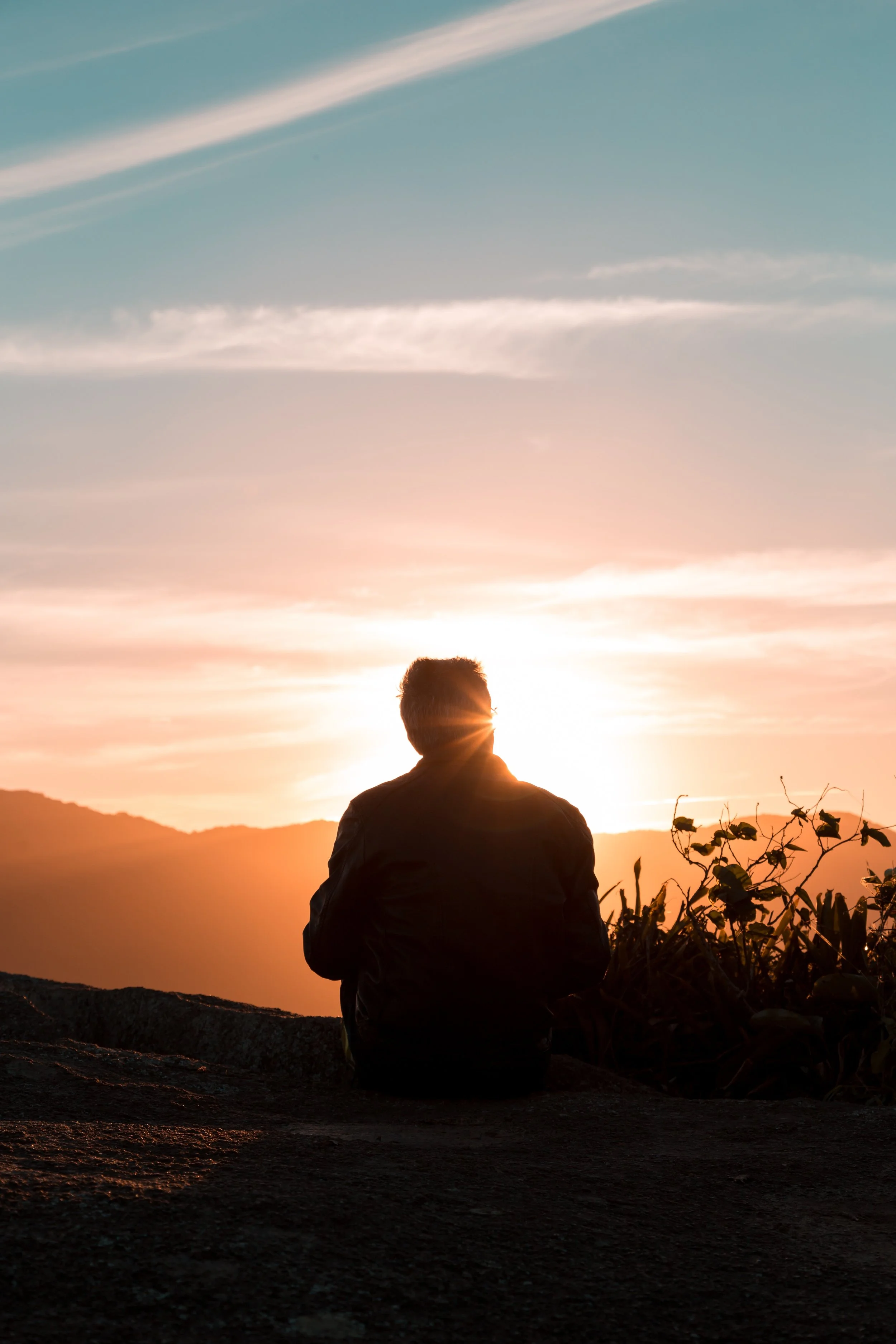 alone-back-view-backlit-2260959.jpg