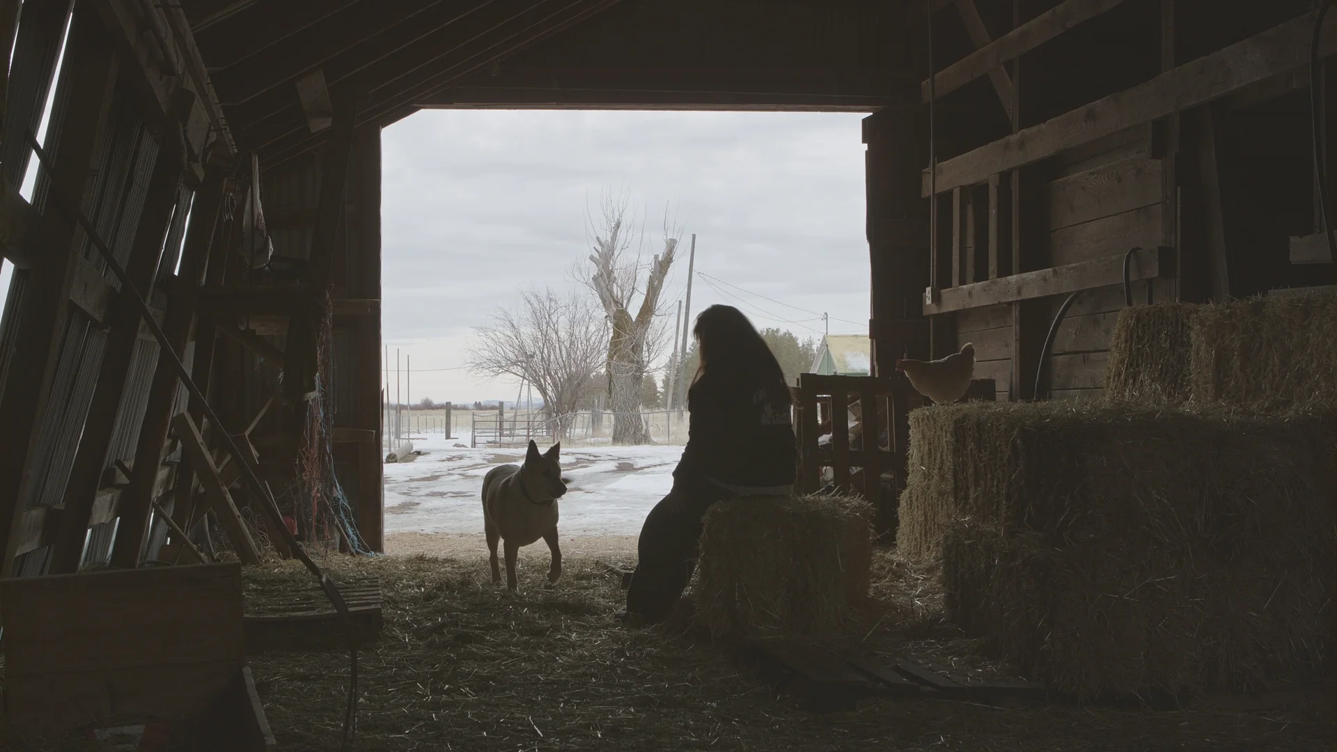 Glenda silhouette in barn_1.123.1.jpg