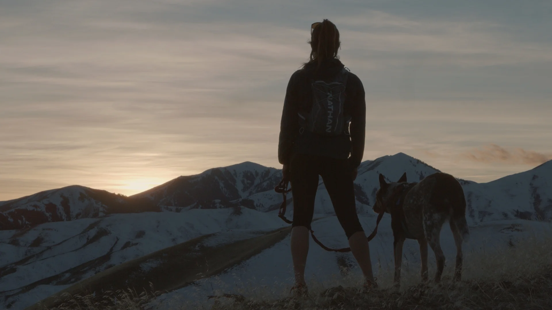 Bekka and Rocket silhouette on carbonate_1.51.1.jpg