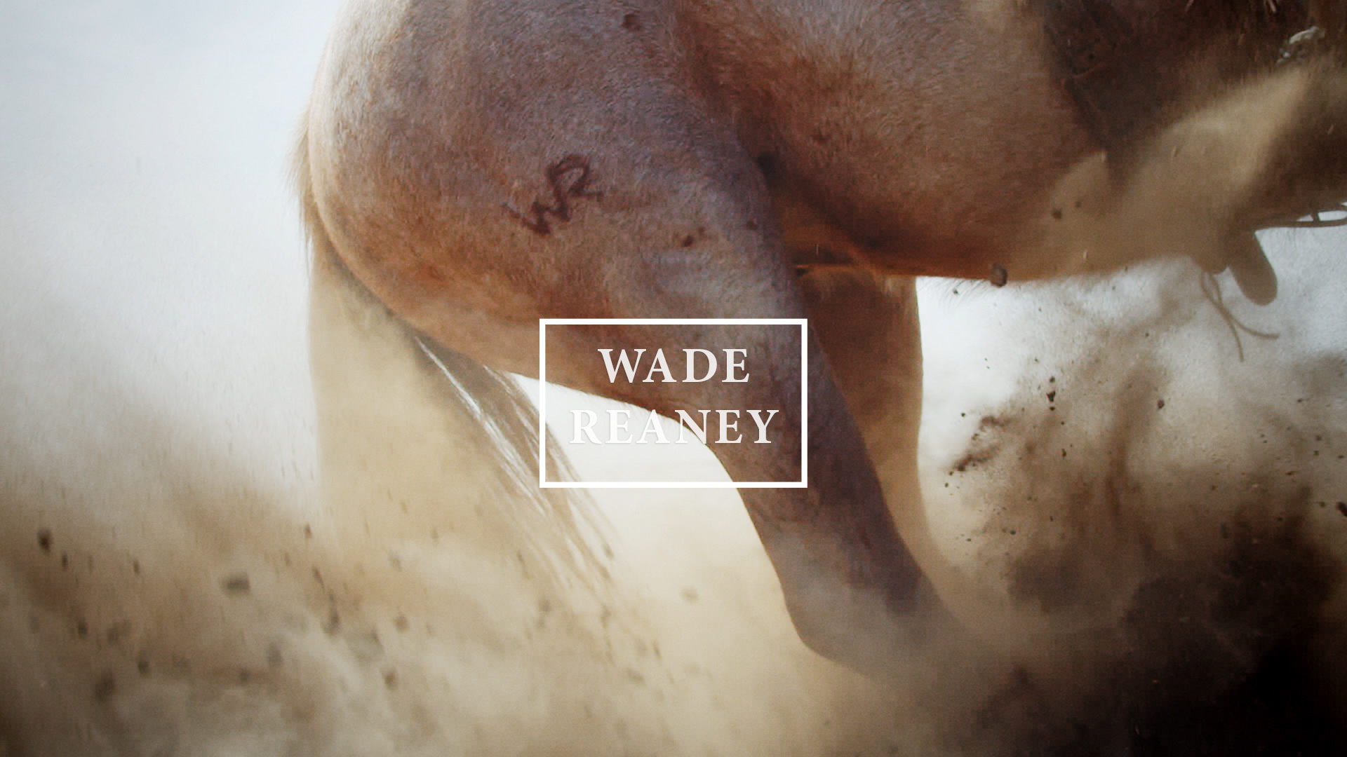 Wade Reaney Thumbnails-3.png