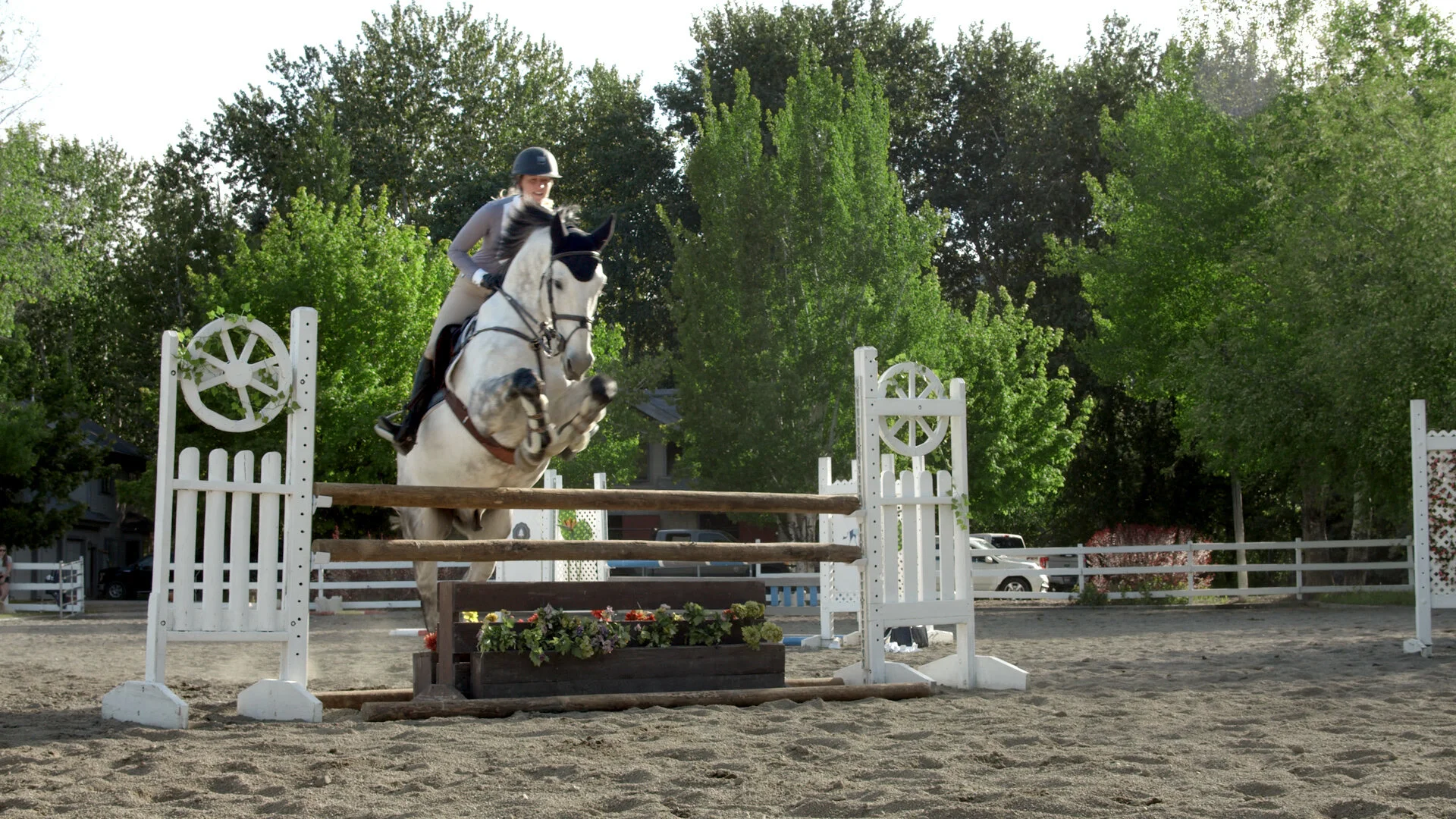 Fine Cut-v2.00_00_57_09.Still009.jpg