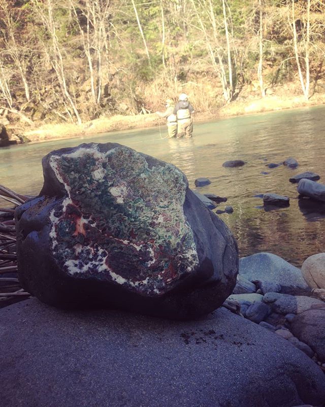 Found a colorful rock the other day and thought I would share it. Our fall season is filling up quick, contact us soon and learn how to target steelhead on our beautiful southern Oregon rivers!! #snkguideservice #southernoregonflyfishing #steelhead #wishiniwasfishin