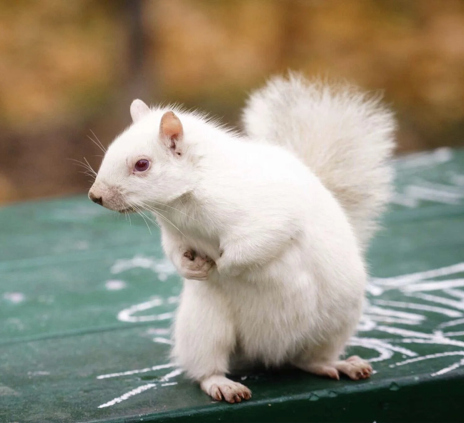 0B0BB432-5A27-4AEE-AD75-42BB0CF4C91C