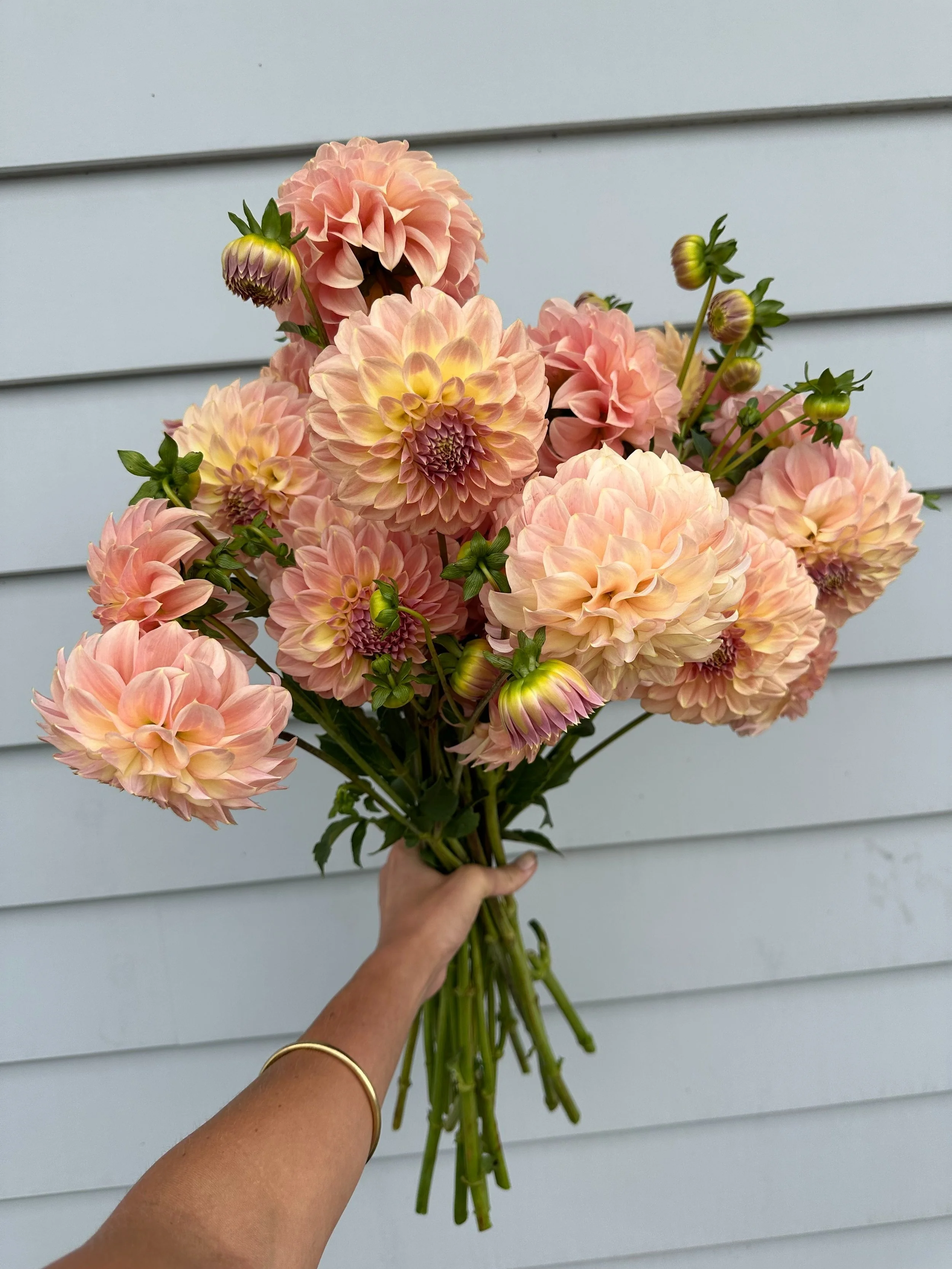 Bloom Buckets - Peach