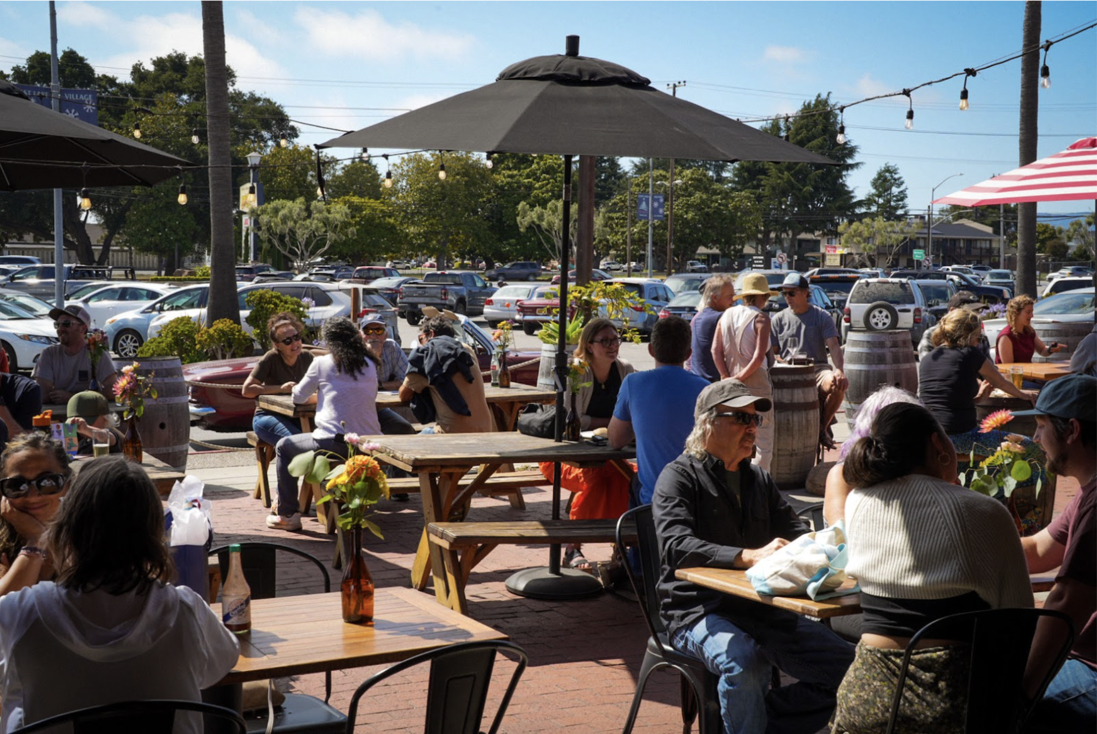 Fruition Patio - Sunshine.png