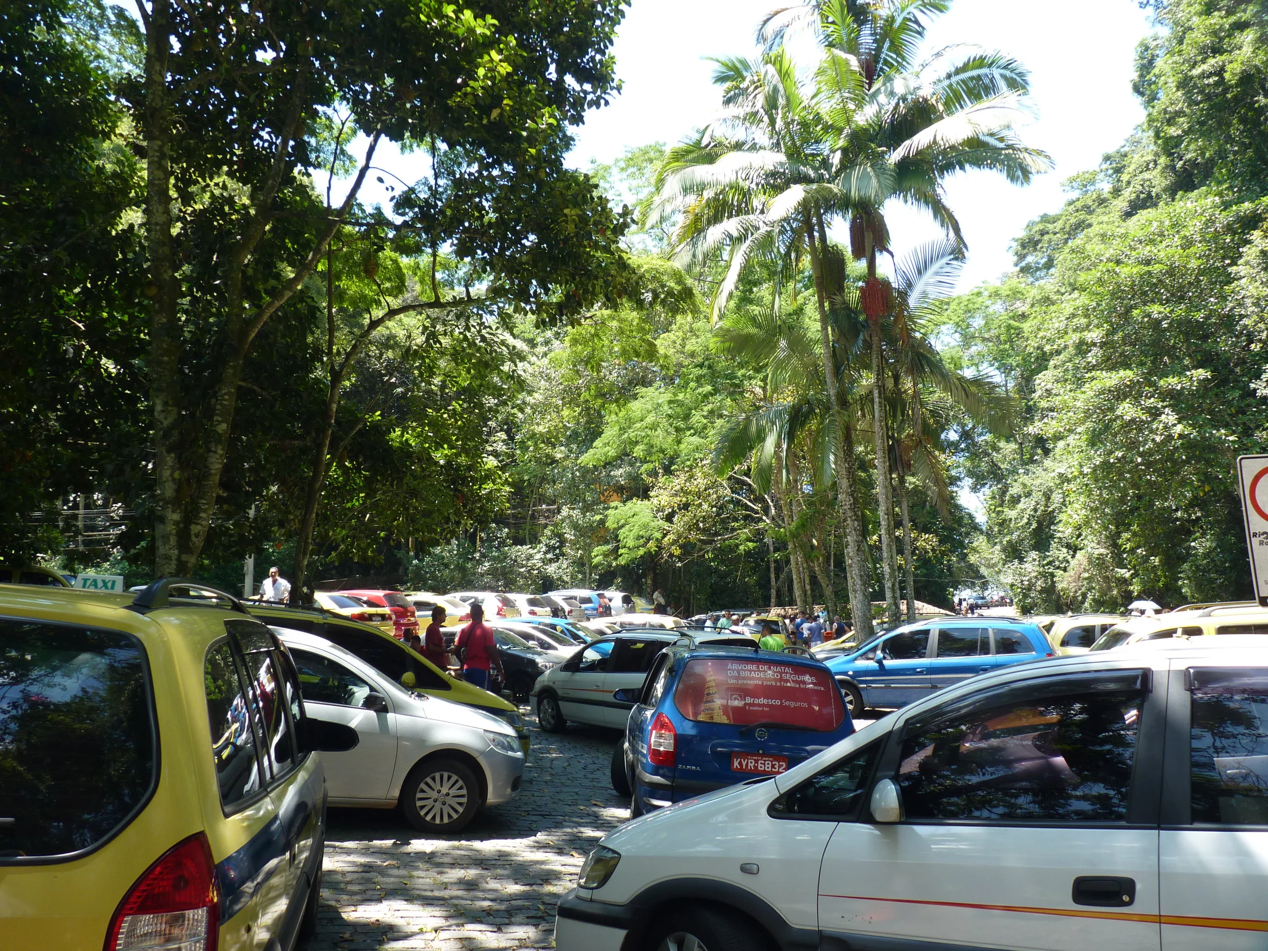 Crowds of Taxis
