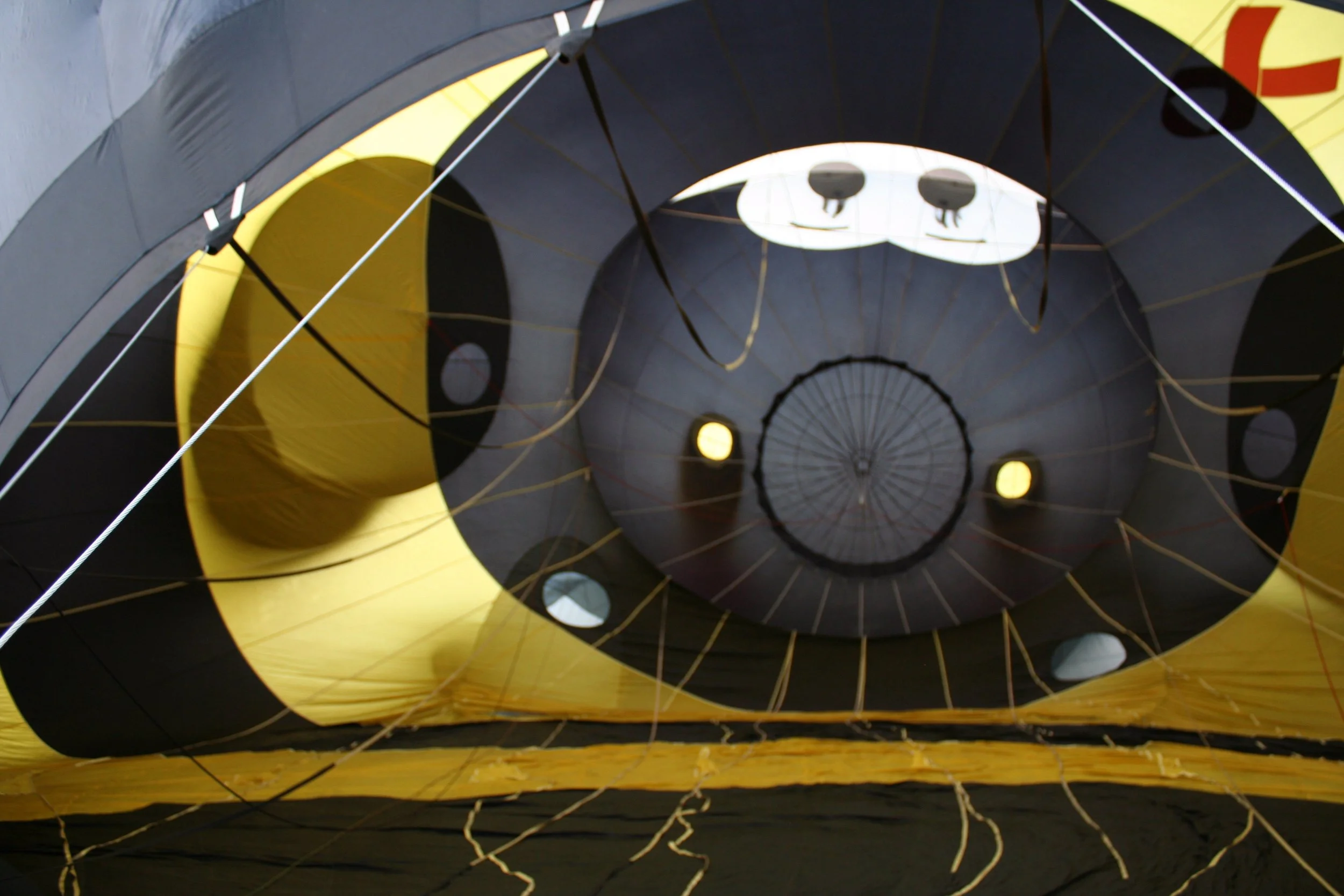 A look inside the Bee