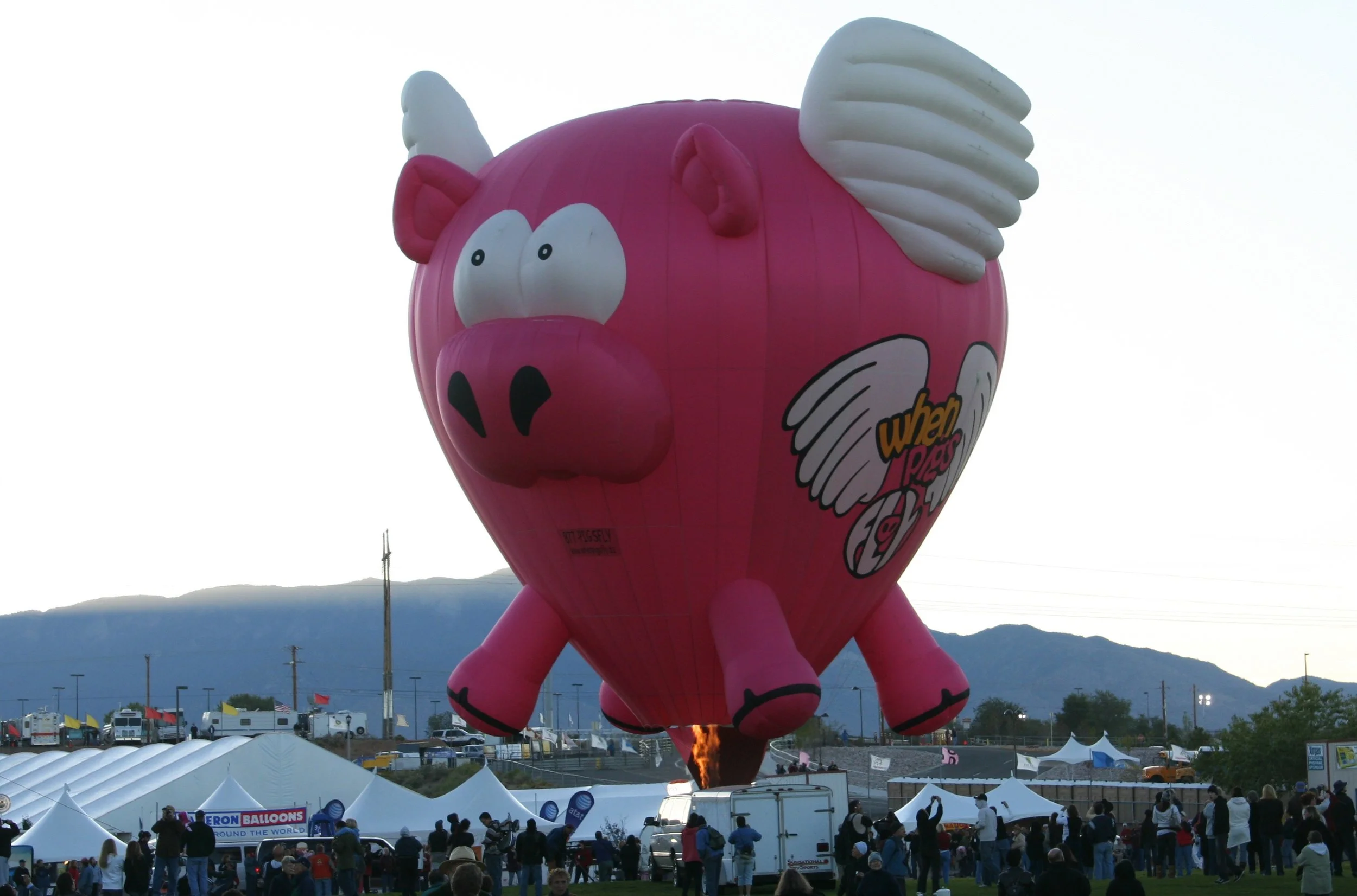 If pigs could fly