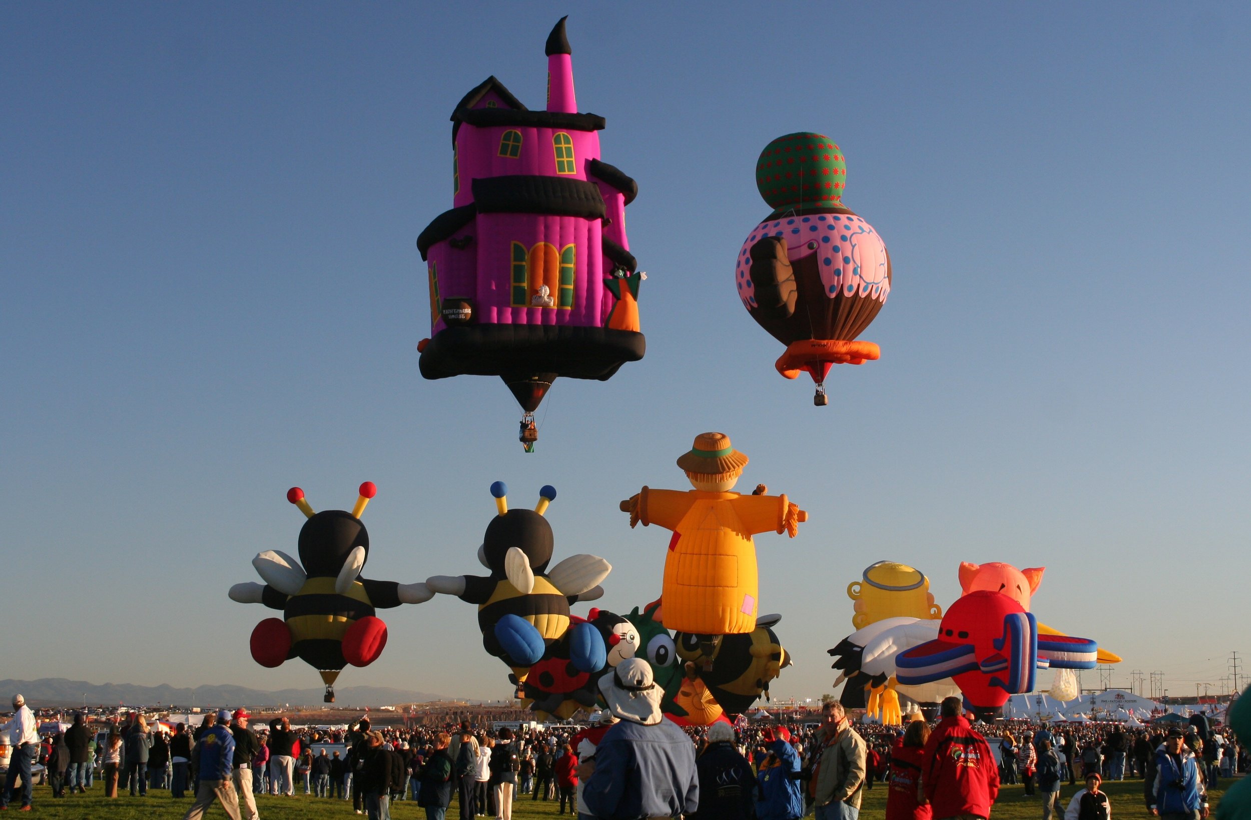 Special Shapes launch