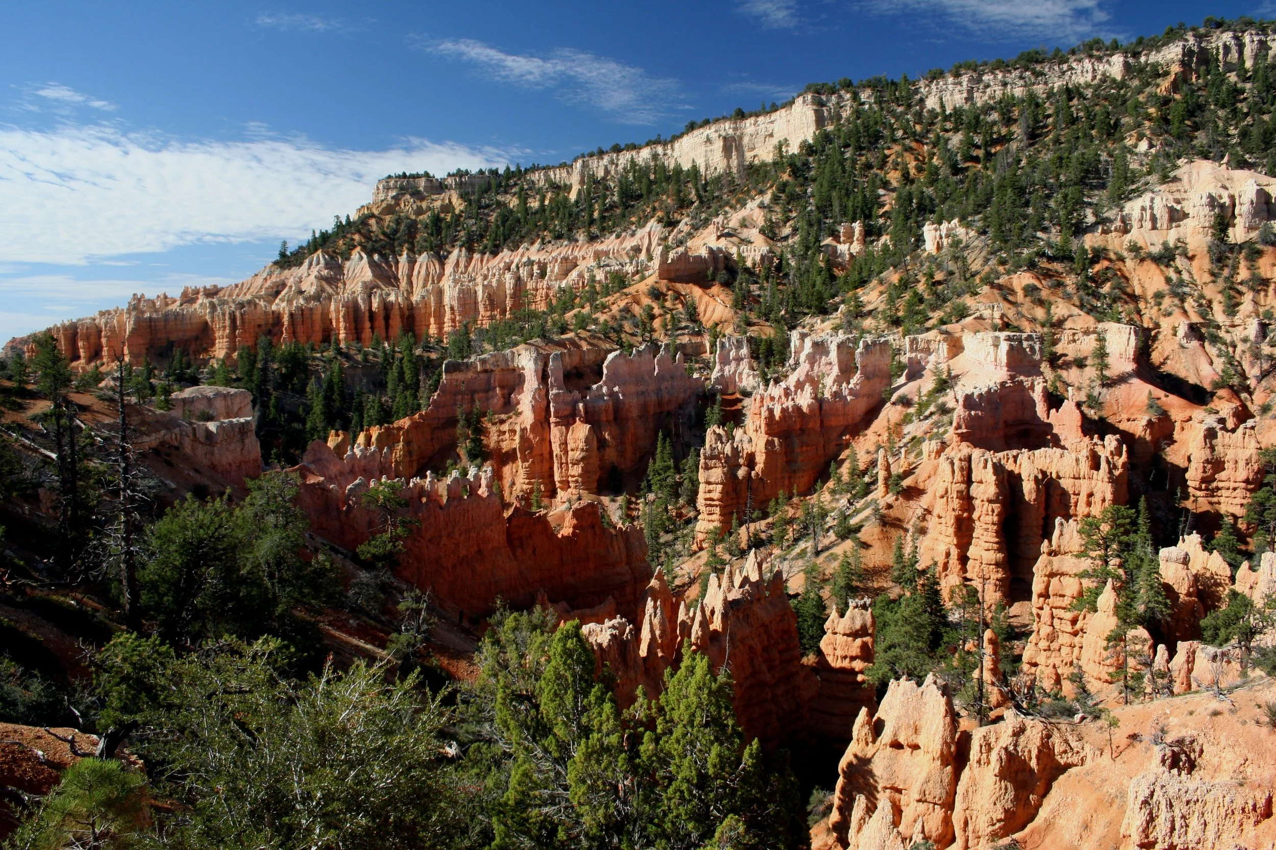 Bryce018.JPG