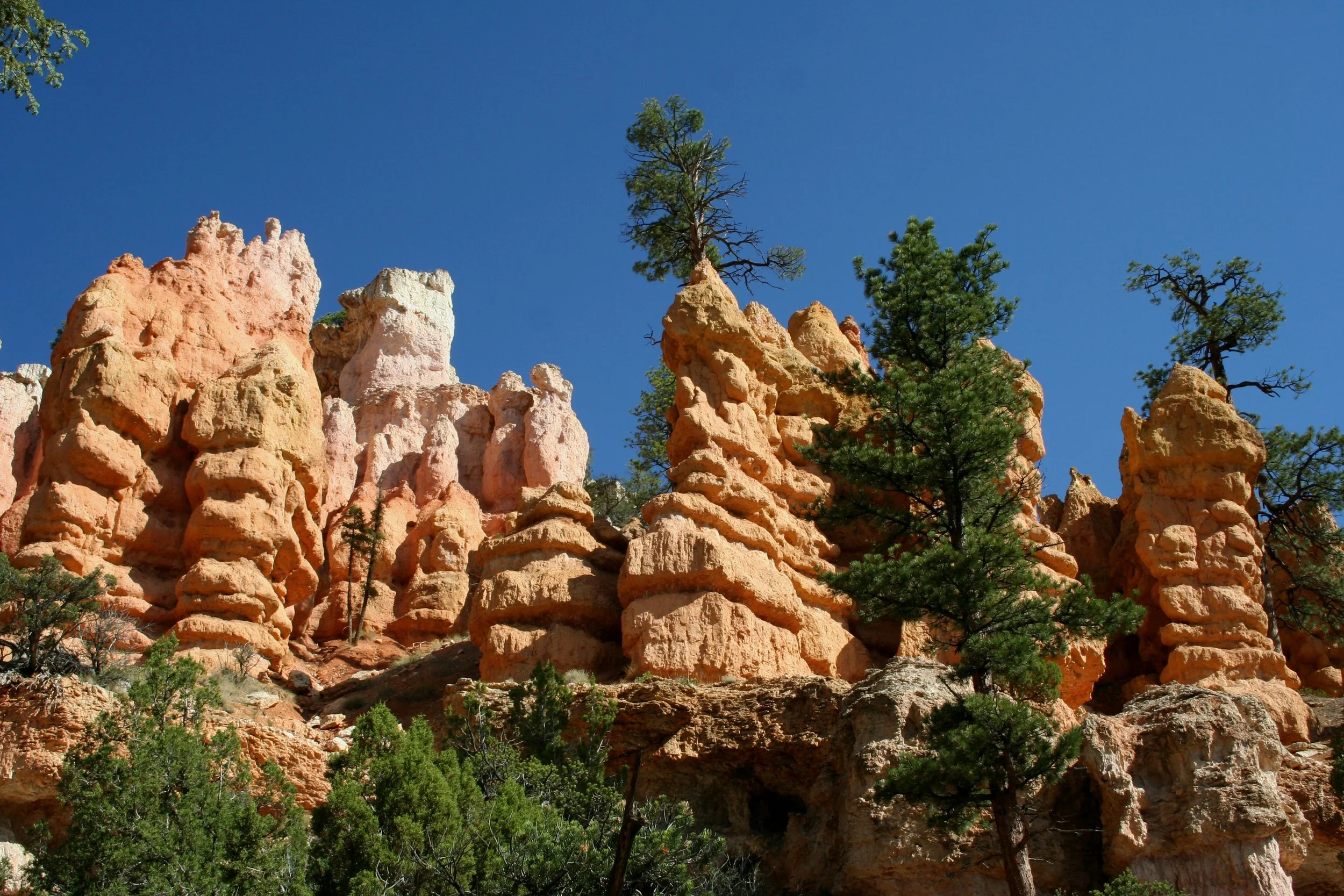 Bryce019.JPG