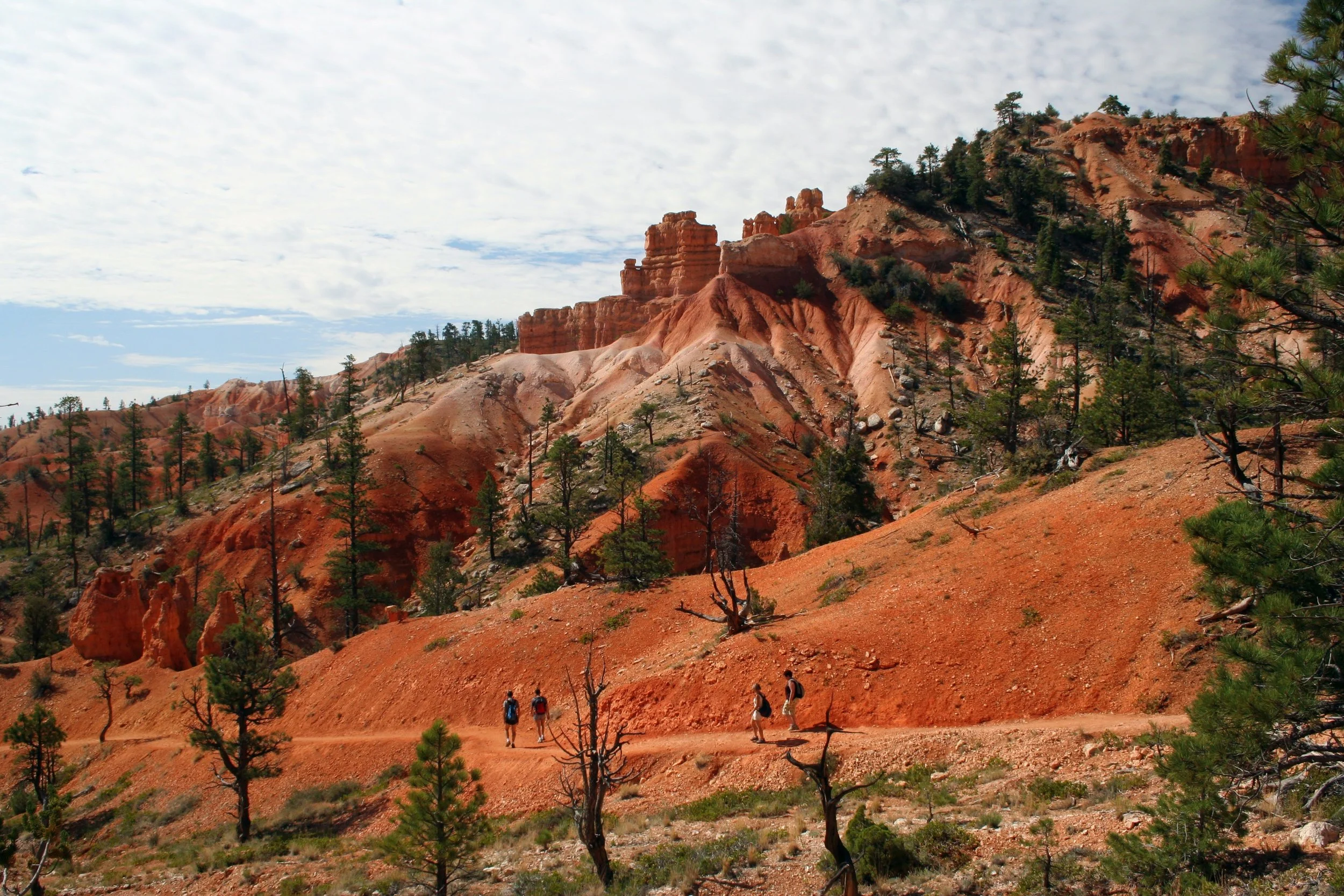 Hiking the Fairyland Trail into Bryce Canyon