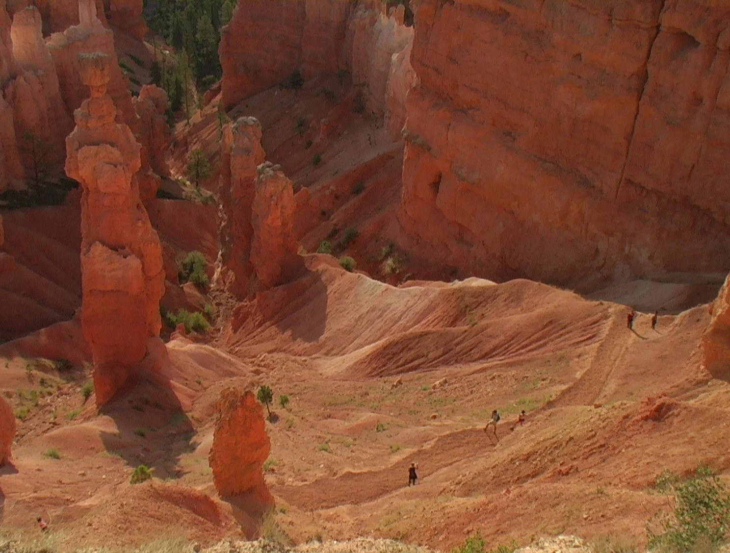 Trail leading down into the canyon (or up!)