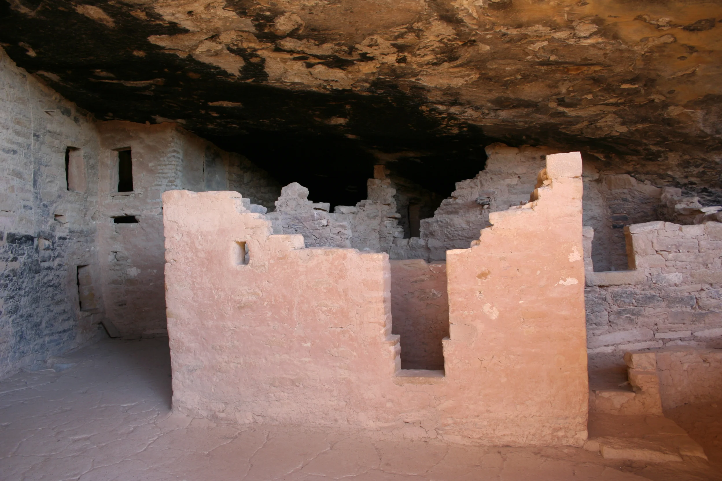 Spruce Tree House