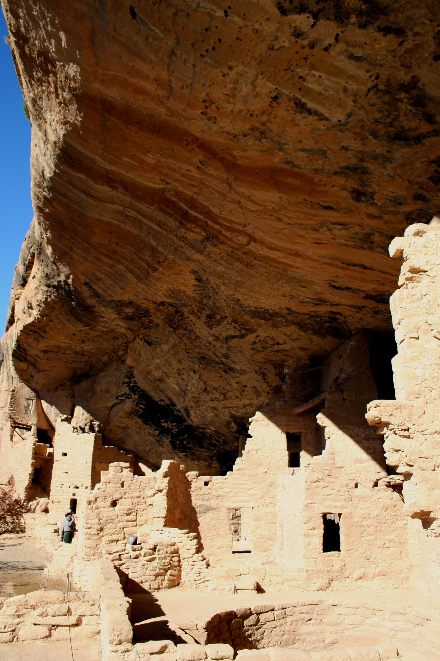 Spruce Tree House