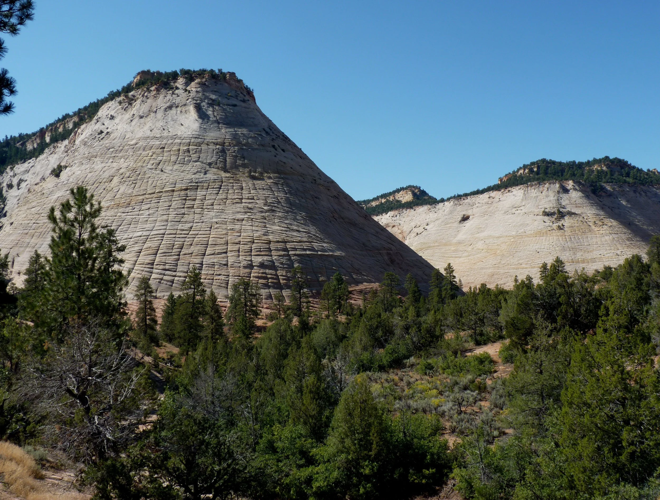  Checkerboard Mesa 