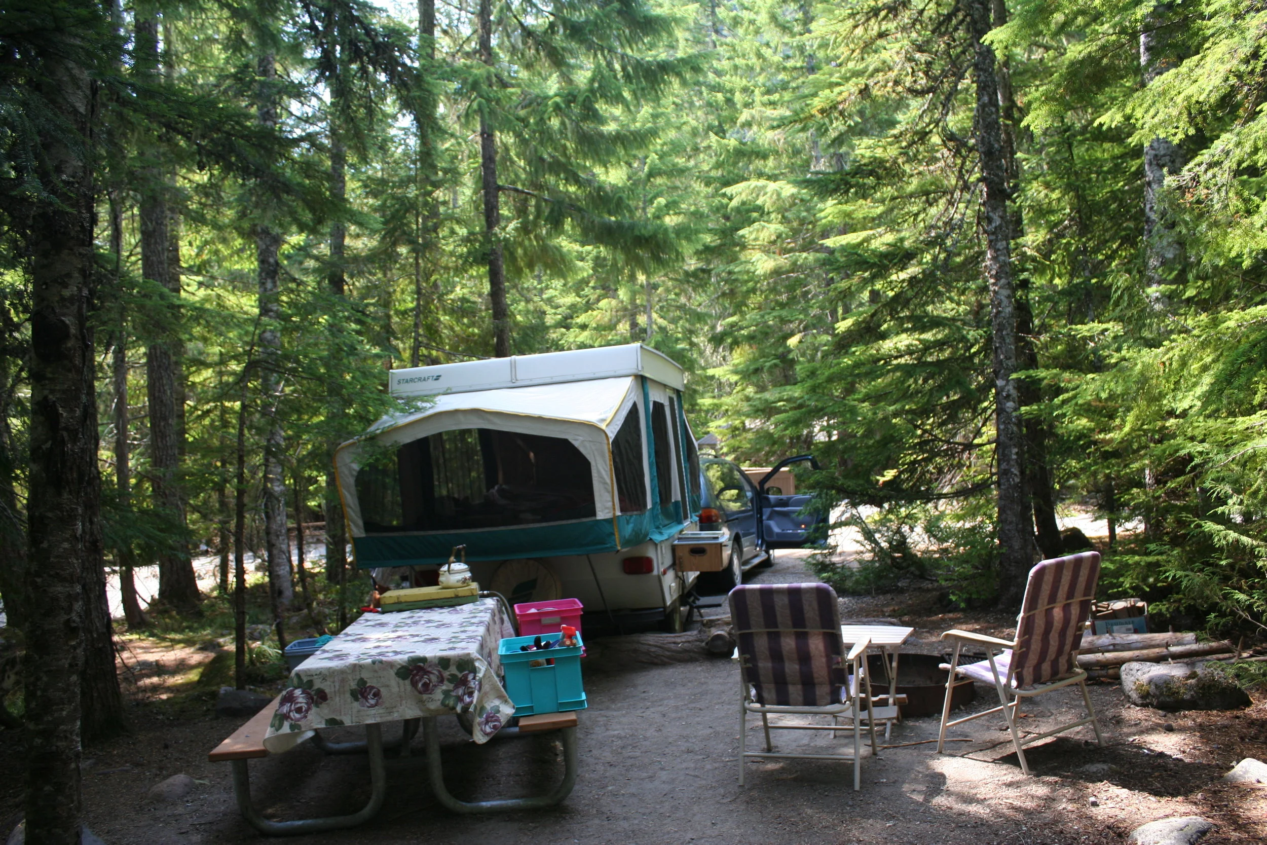  Camping in the Forest 