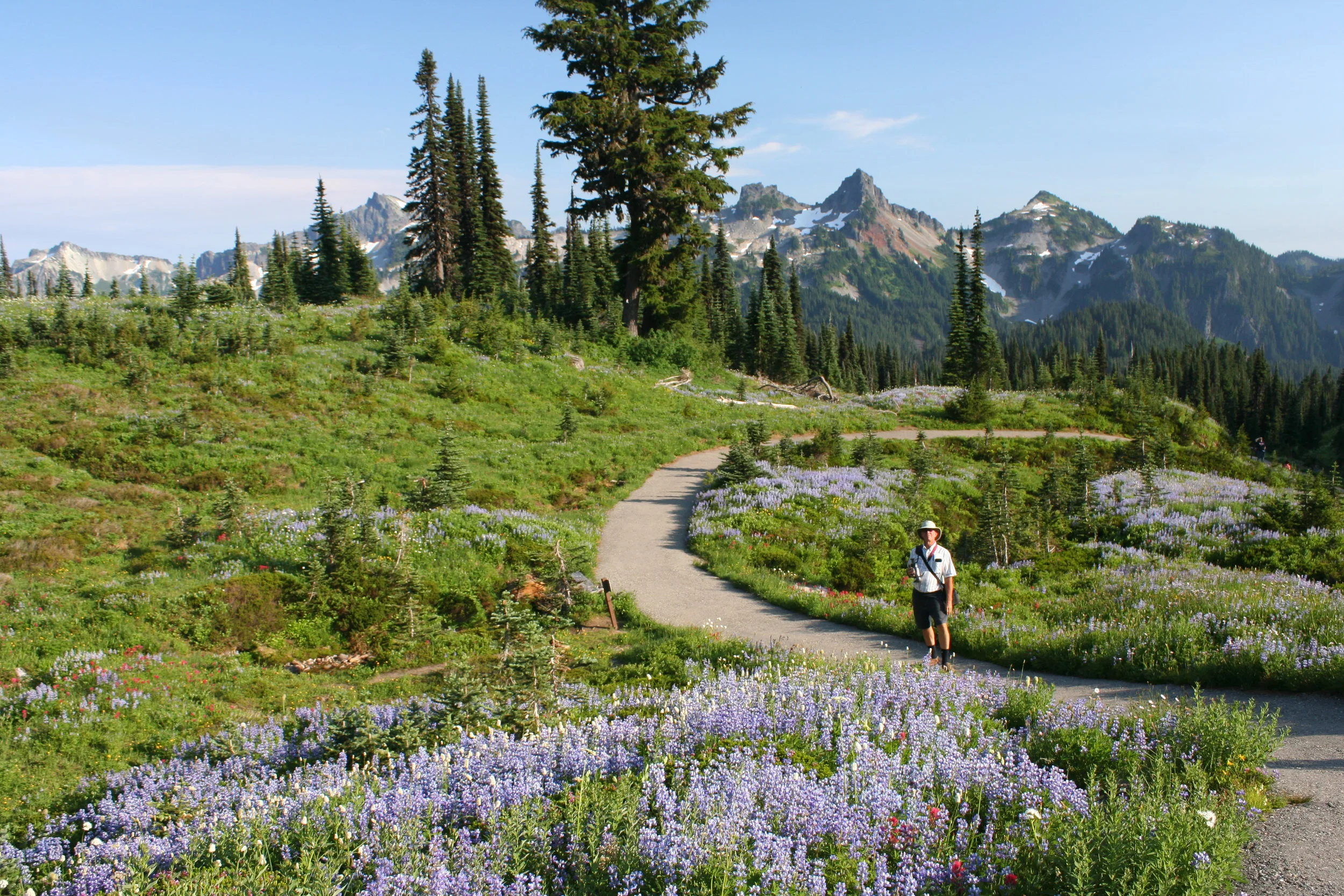  Pathways through the flower fields 