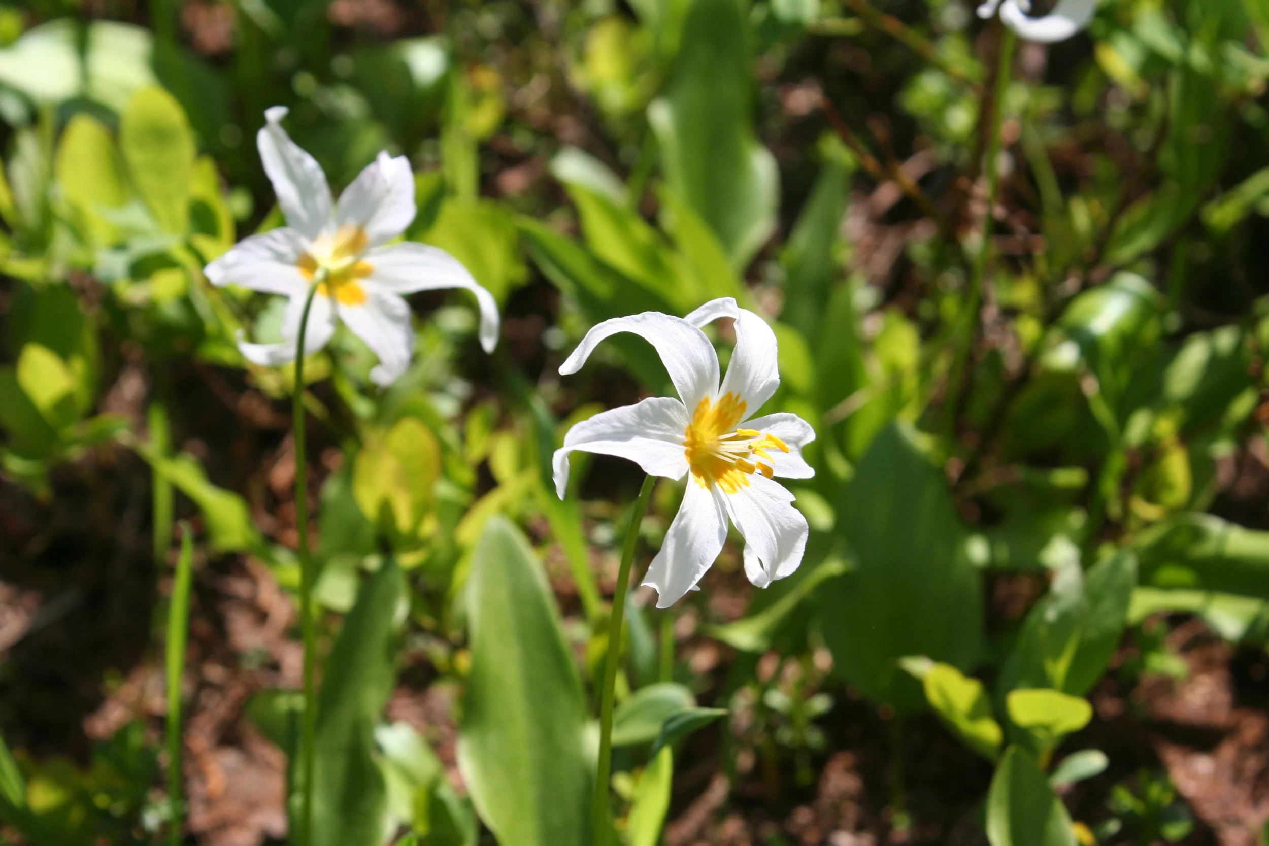 05Aug098.JPG