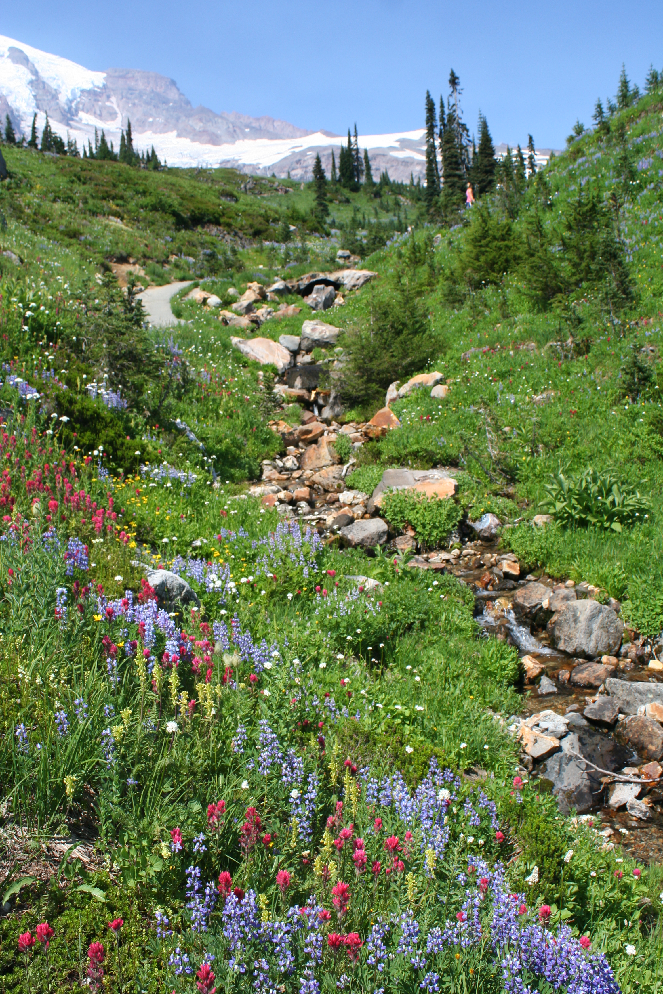  Mountain Stream 