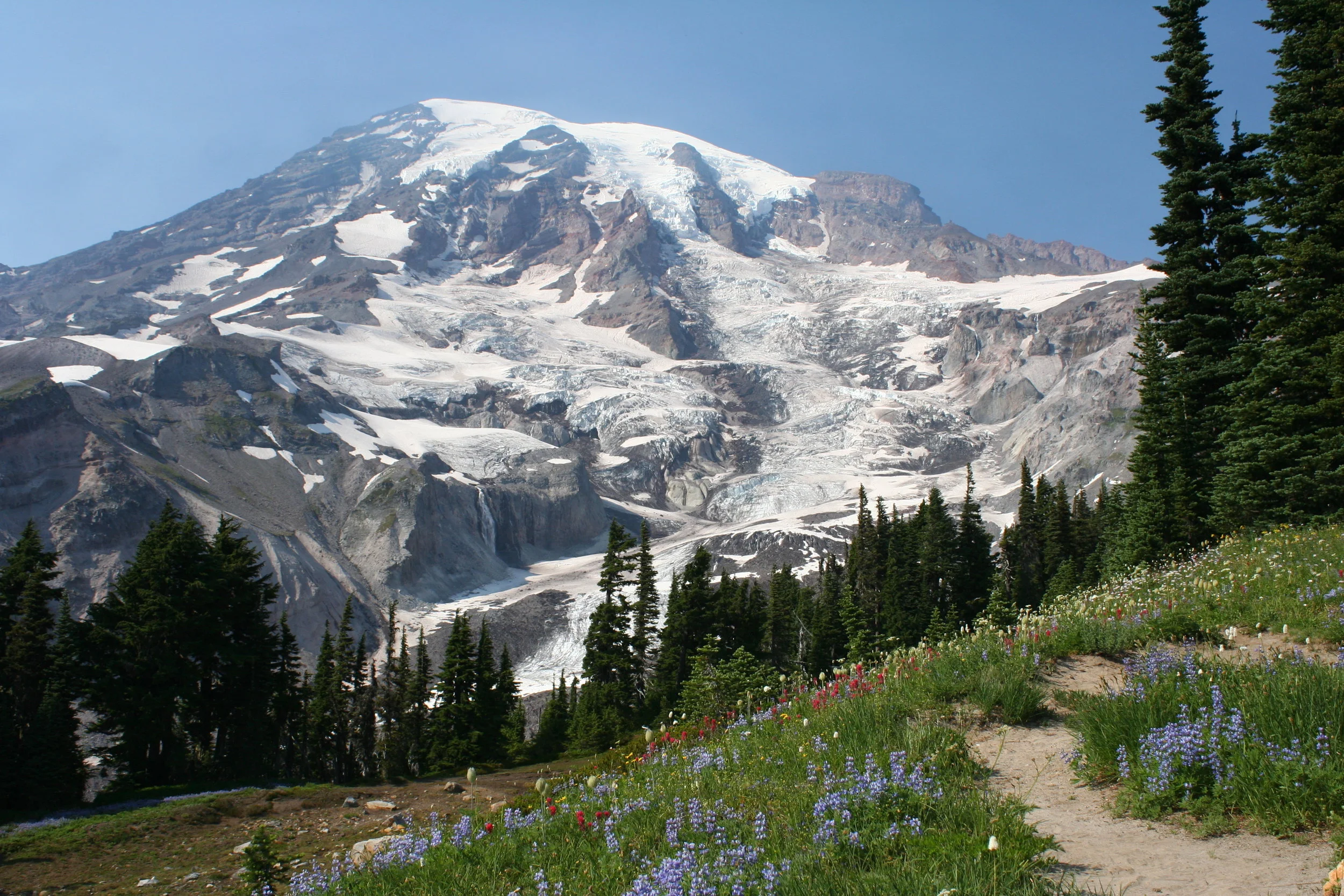  Glaciers and Flowers 
