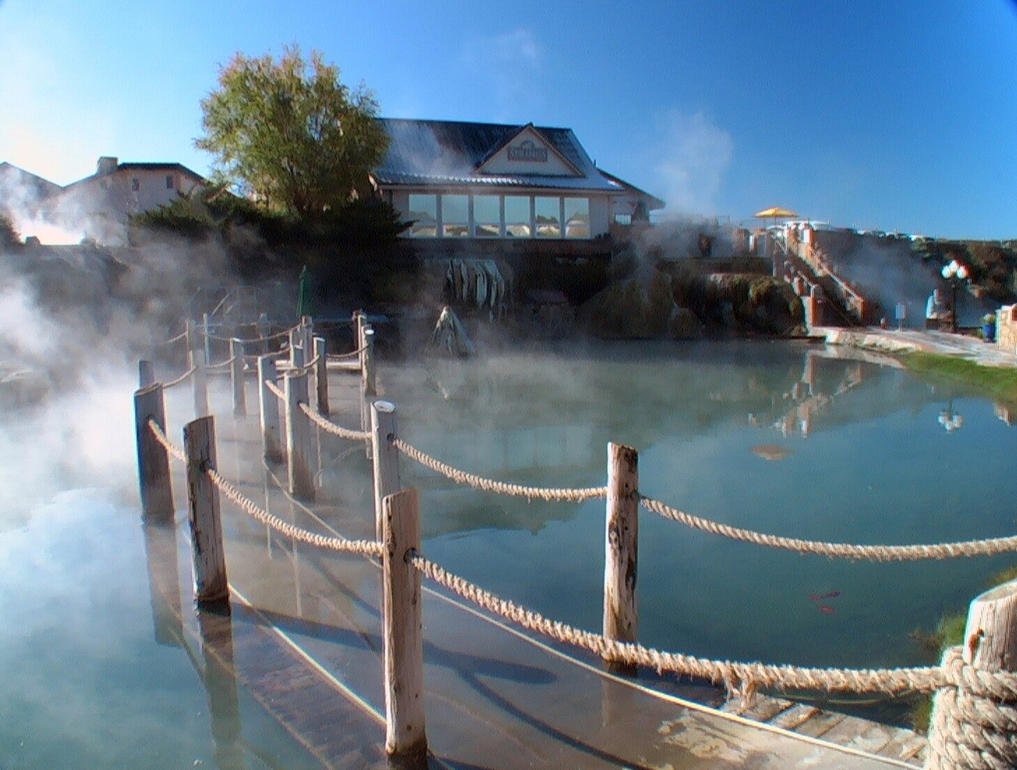 The Springs