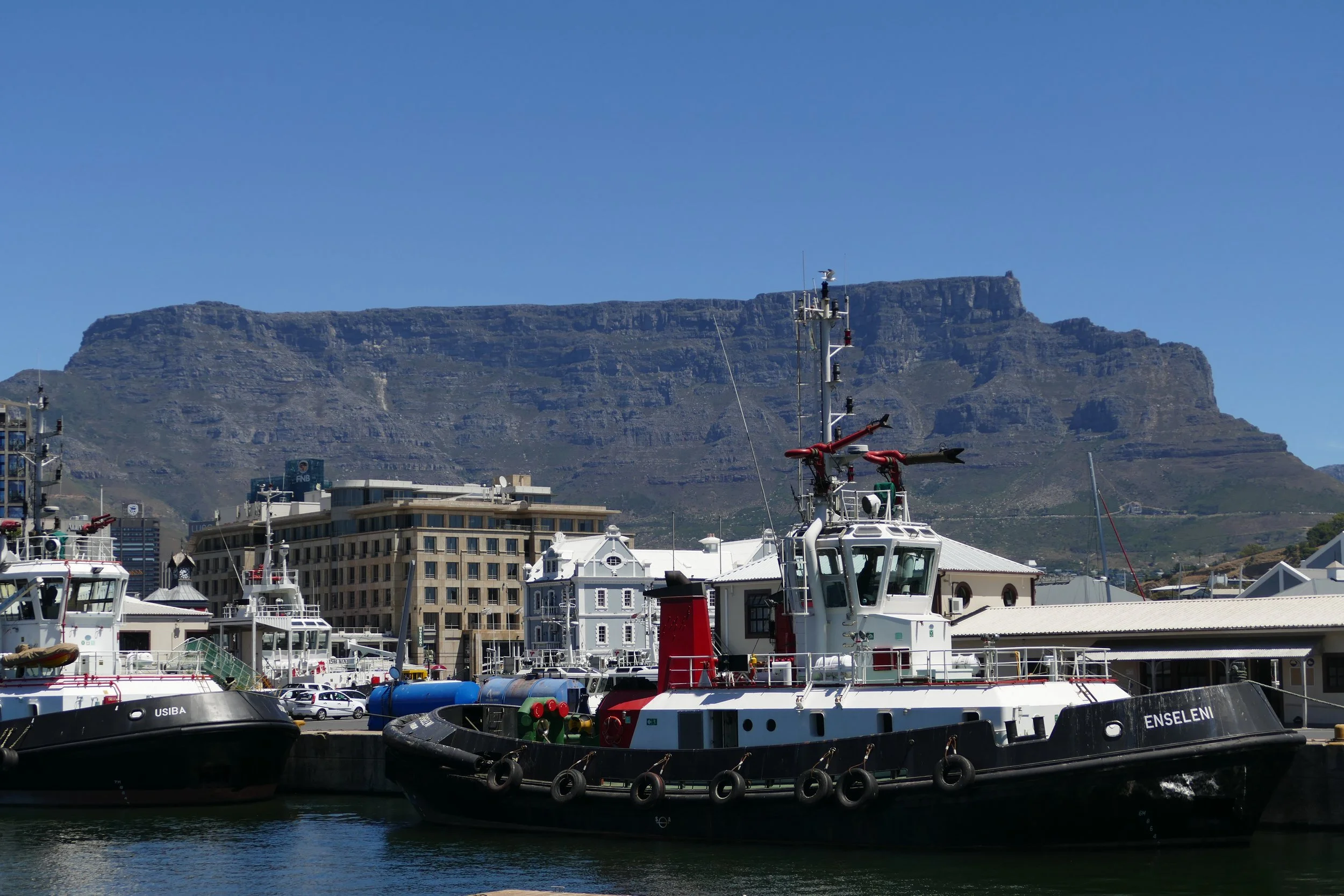  View of Table Mountain from the boat harbor 