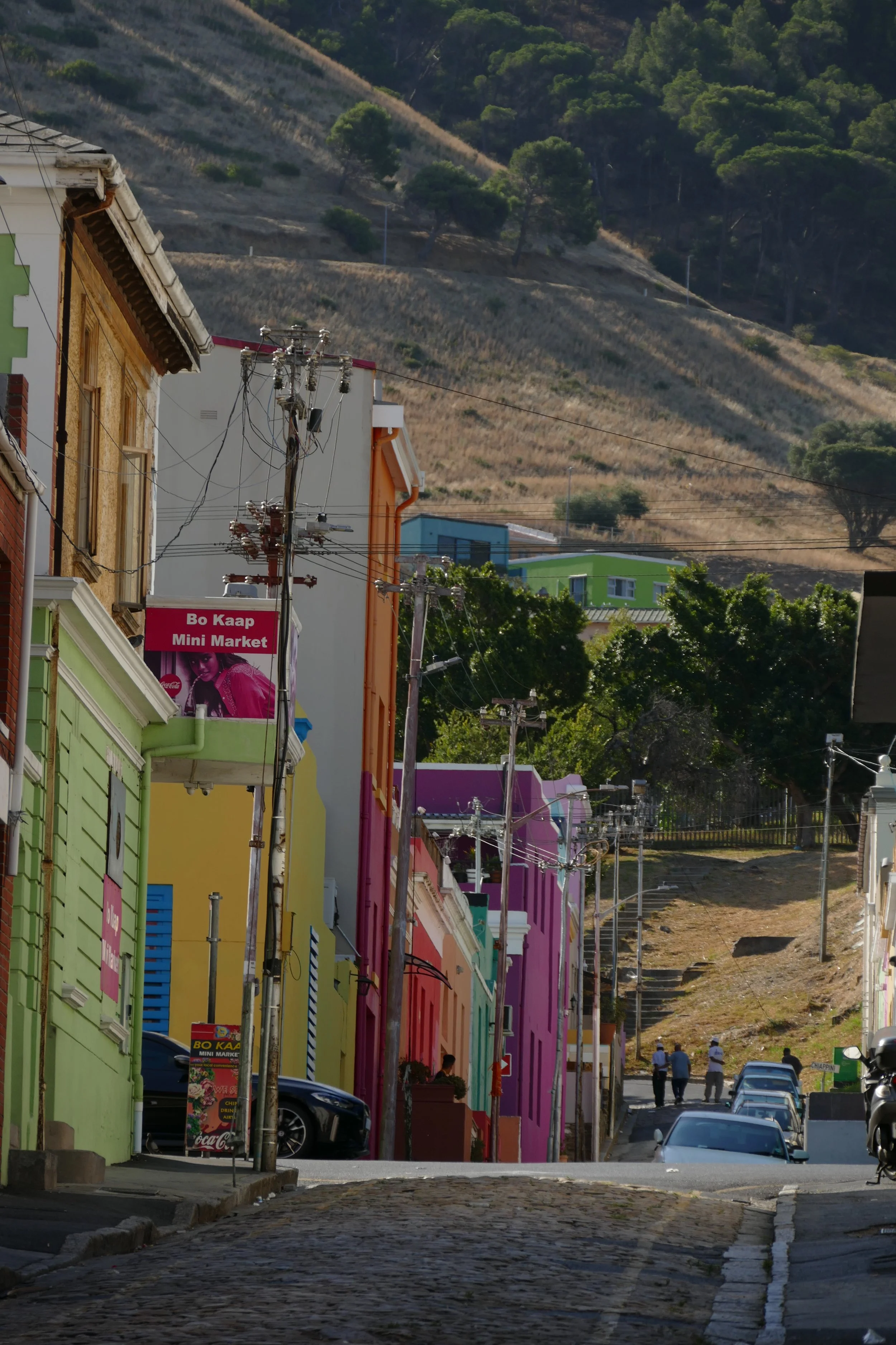  Bokaap Colorful Houses 